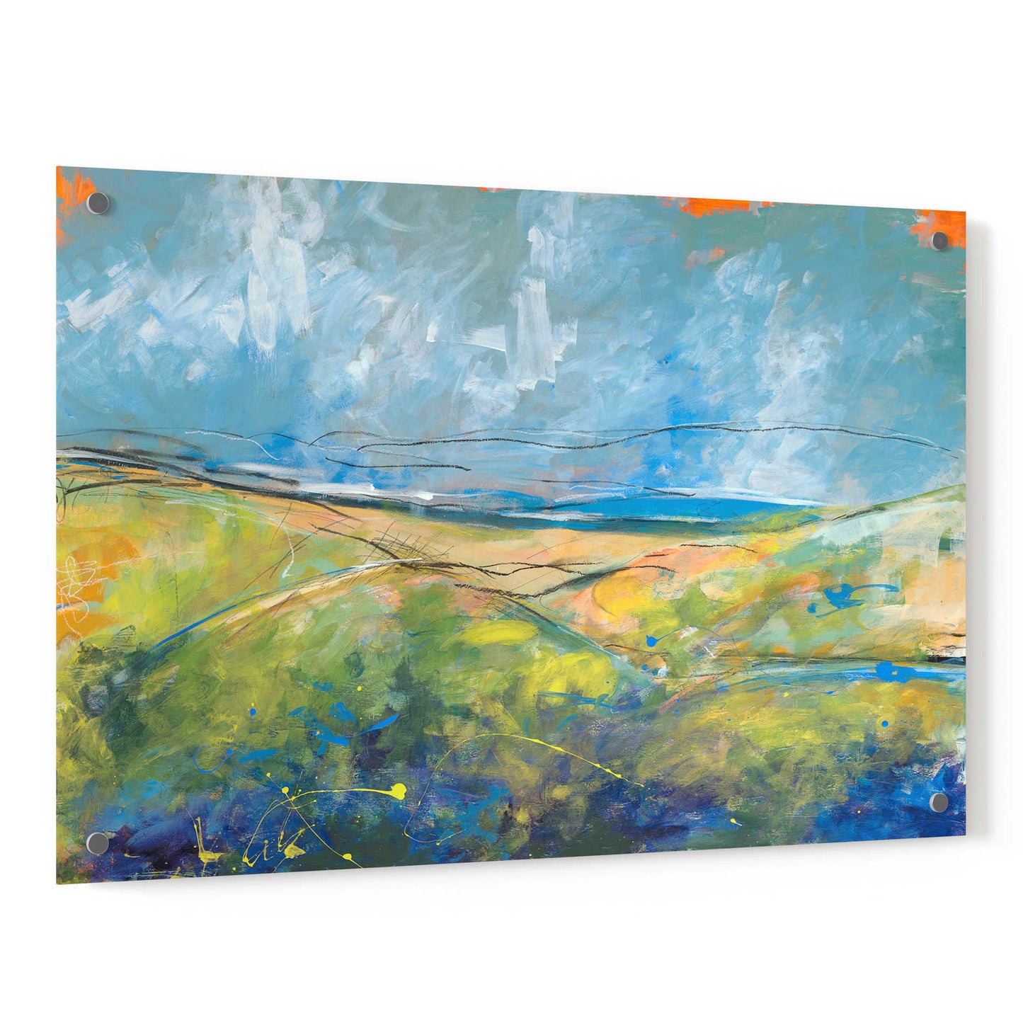 Epic Art 'Early Spring Days' by Jan Weiss, Acrylic Glass Wall Art,36x24