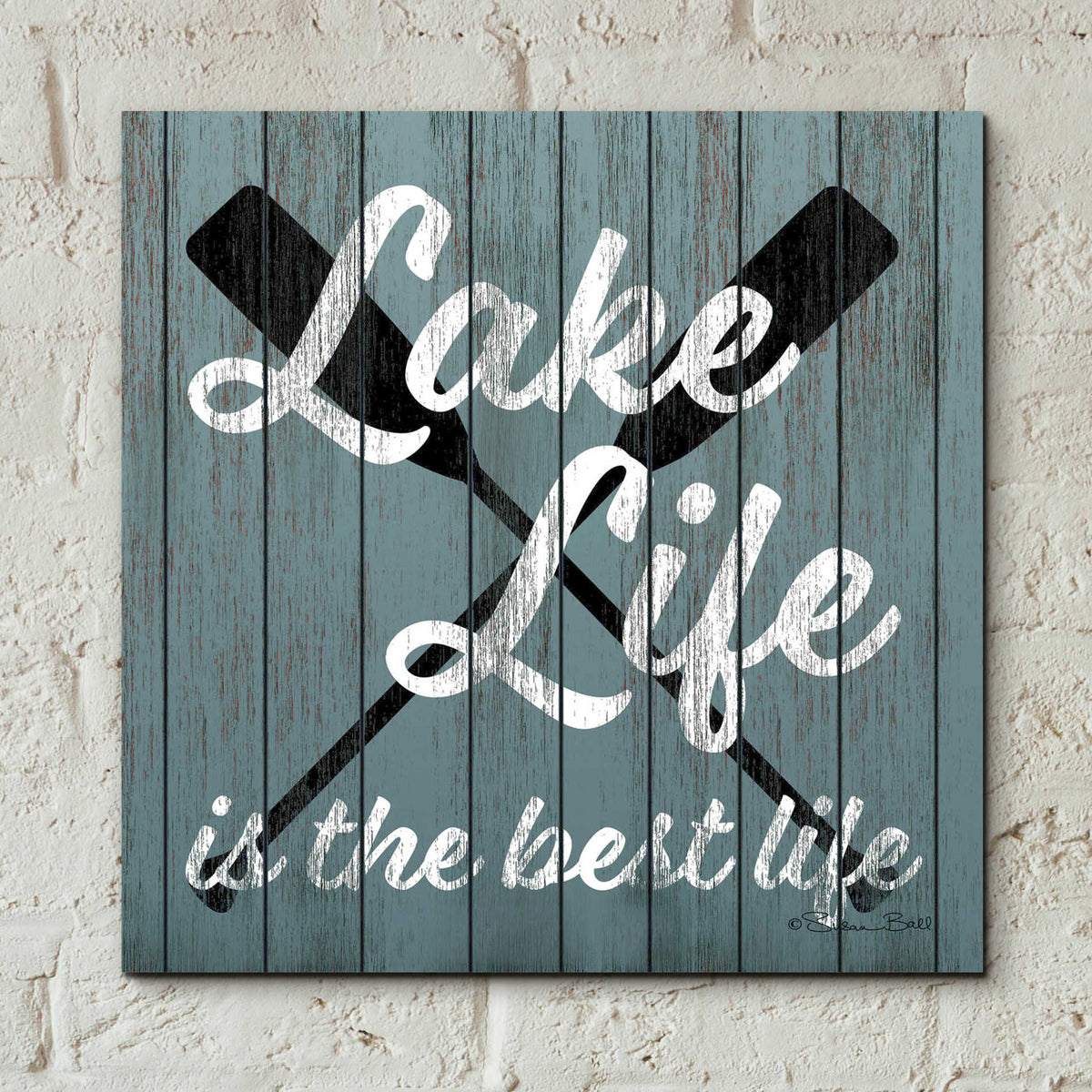 Epic Art 'Lake Life' by Susan Ball, Acrylic Glass Wall Art,12x12
