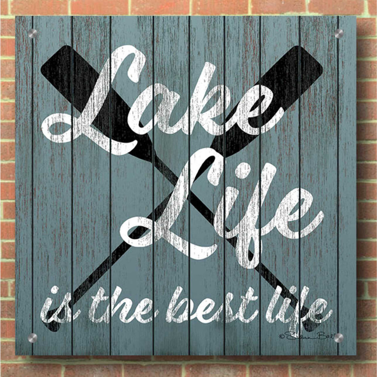 Epic Art 'Lake Life' by Susan Ball, Acrylic Glass Wall Art,36x36