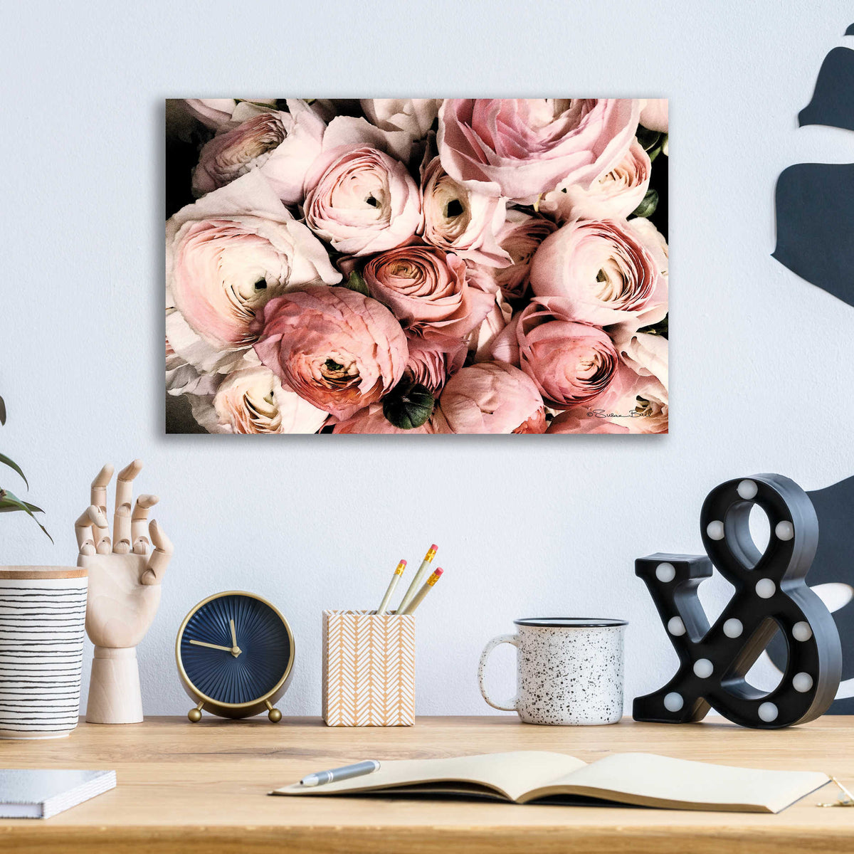 Epic Art 'Coral Ranunculus' by Susan Ball, Acrylic Glass Wall Art,16x12