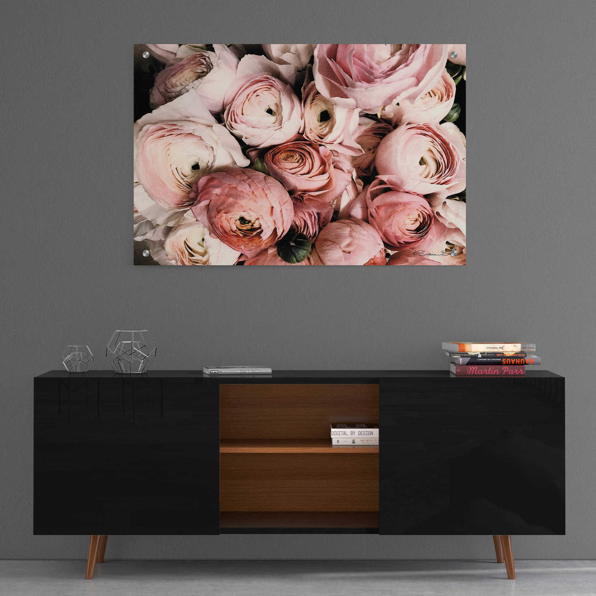 Epic Art 'Coral Ranunculus' by Susan Ball, Acrylic Glass Wall Art,36x24