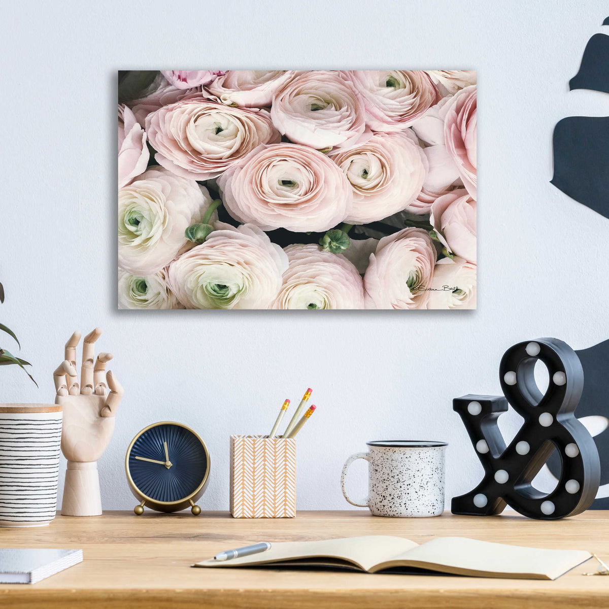 Epic Art 'Soft Pink Ranunculus' by Susan Ball, Acrylic Glass Wall Art,16x12