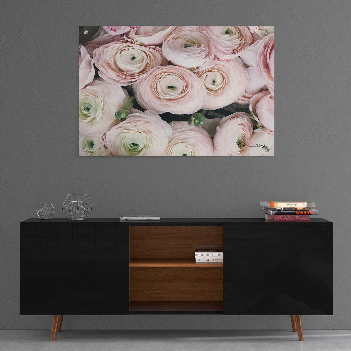 Epic Art 'Soft Pink Ranunculus' by Susan Ball, Acrylic Glass Wall Art,36x24