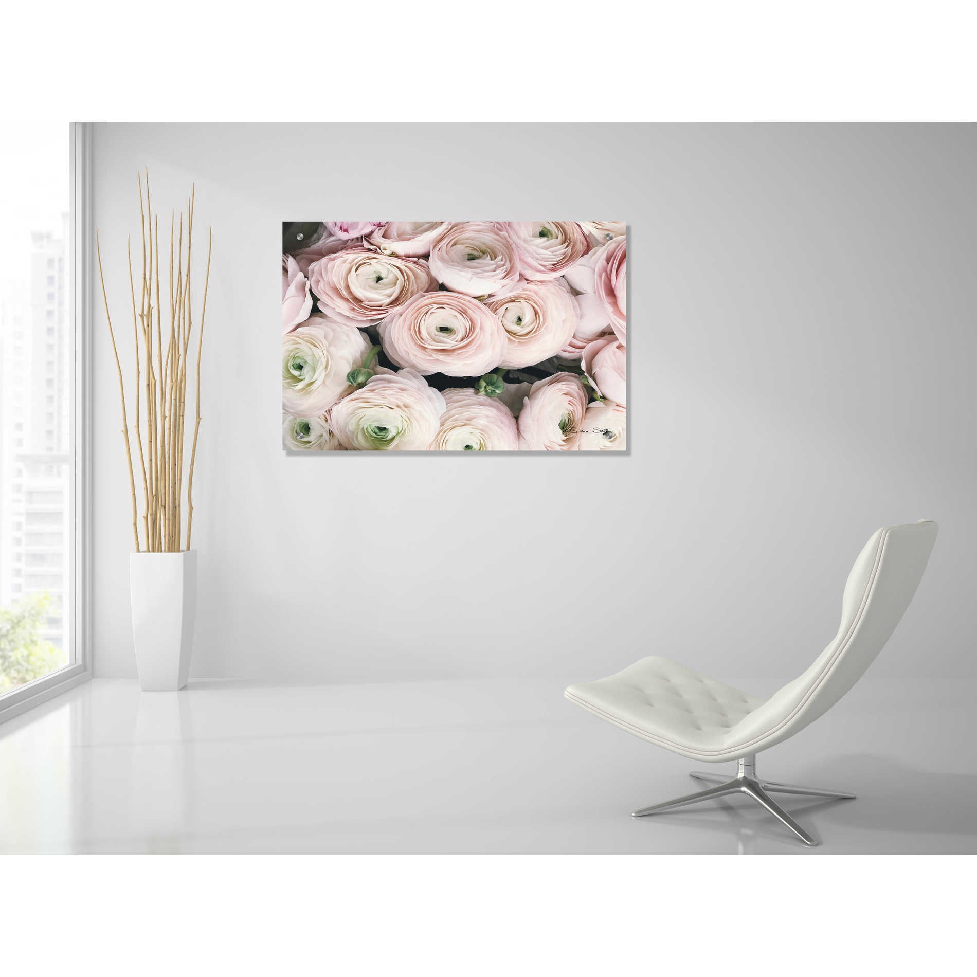 Epic Art 'Soft Pink Ranunculus' by Susan Ball, Acrylic Glass Wall Art,36x24