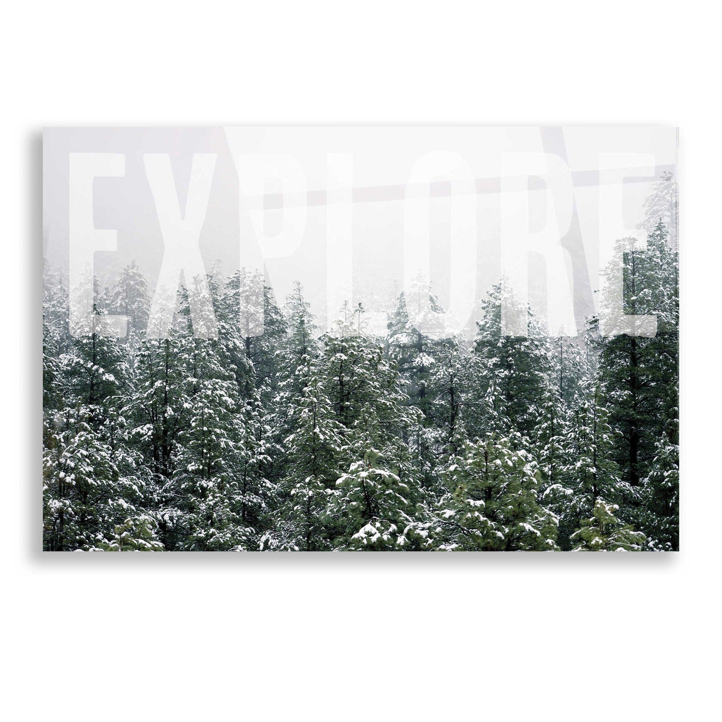 Epic Art 'Explore' by Susan Ball, Acrylic Glass Wall Art