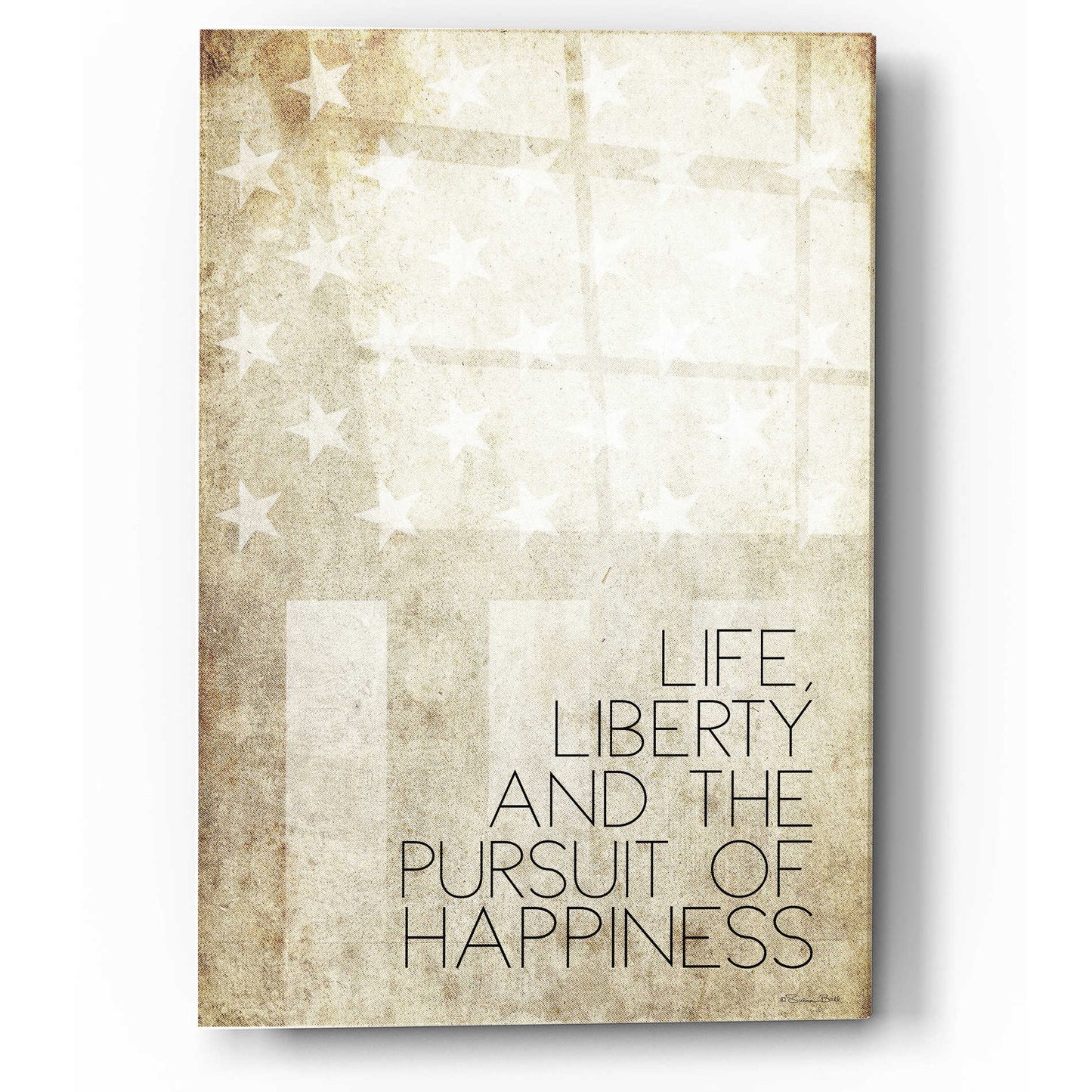 Epic Art 'Life, Liberty and Happiness' by Susan Ball, Acrylic Glass Wall Art,12x16