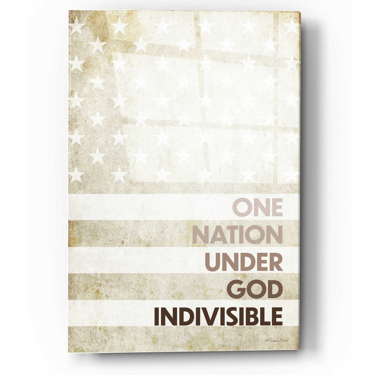 Epic Art 'Indivisible' by Susan Ball, Acrylic Glass Wall Art