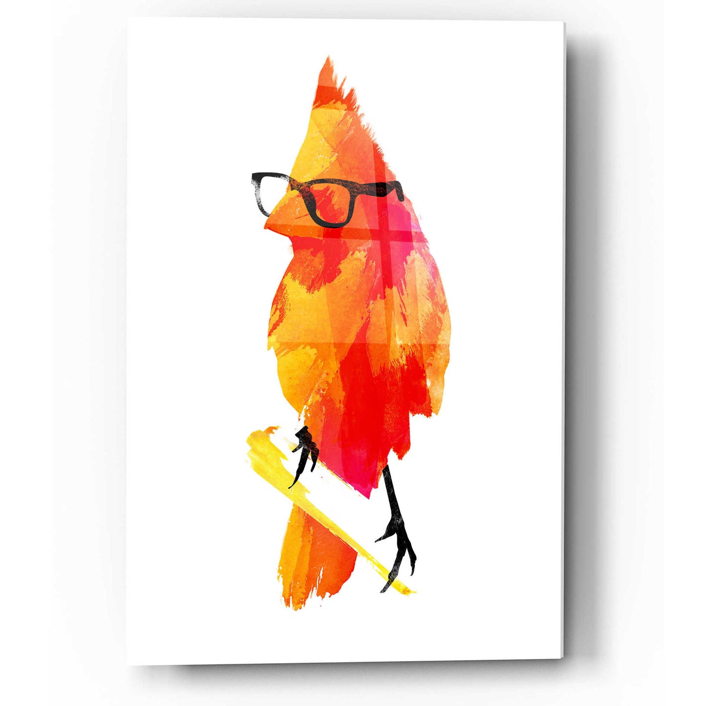 Epic Art 'Punk Bird' by Robert Farkas, Acrylic Glass Wall Art,12x16