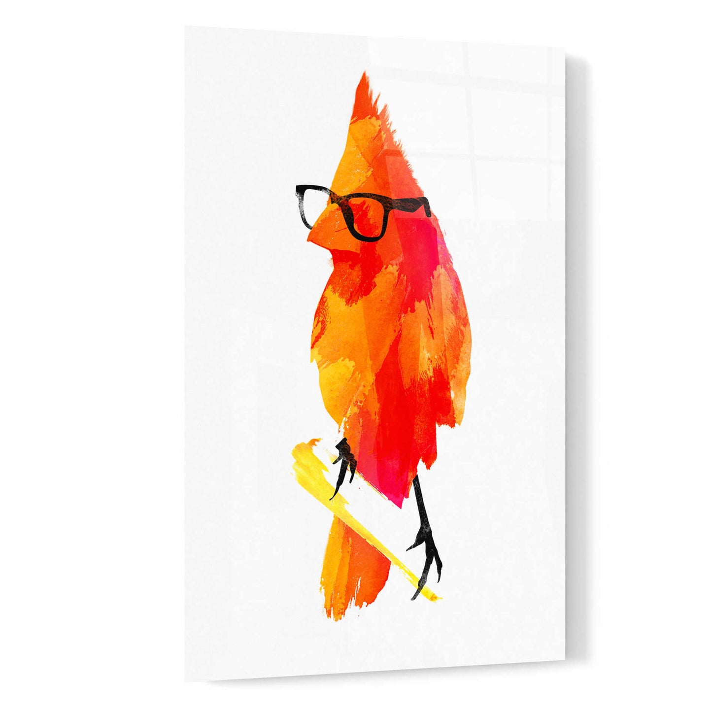 Epic Art 'Punk Bird' by Robert Farkas, Acrylic Glass Wall Art,16x24