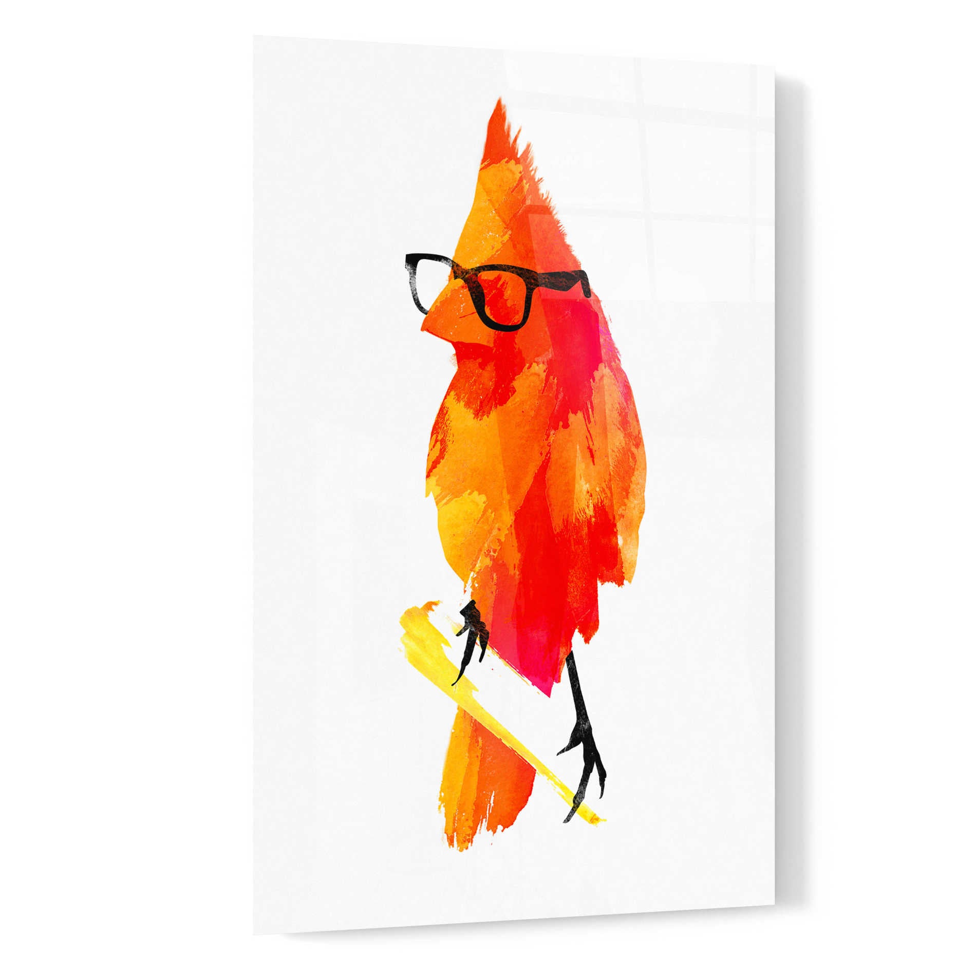 Epic Art 'Punk Bird' by Robert Farkas, Acrylic Glass Wall Art,16x24