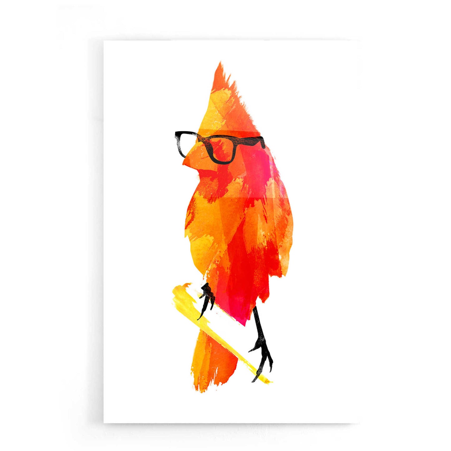 Epic Art 'Punk Bird' by Robert Farkas, Acrylic Glass Wall Art,16x24