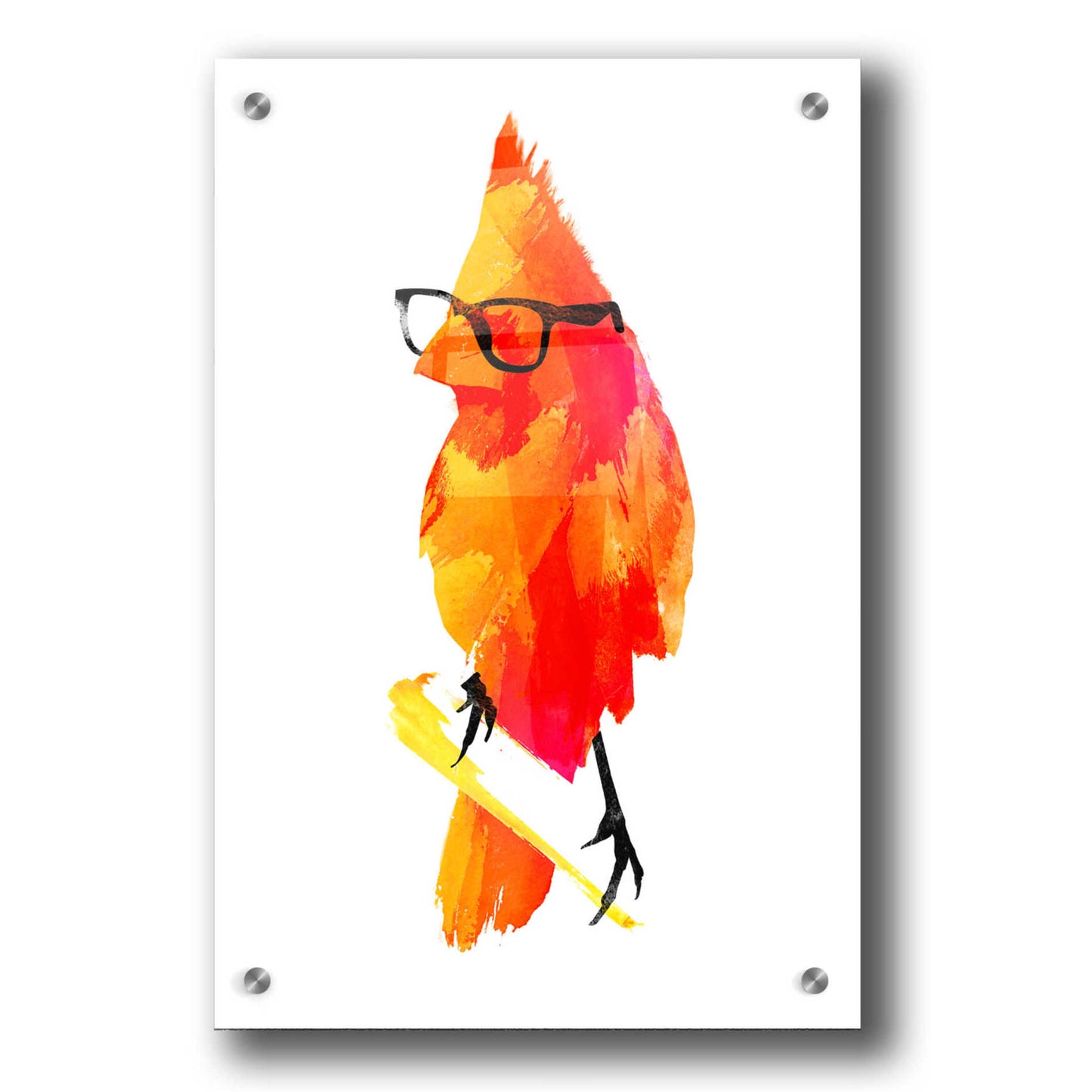 Epic Art 'Punk Bird' by Robert Farkas, Acrylic Glass Wall Art,24x36