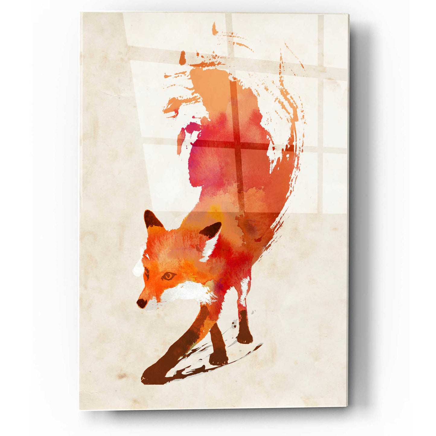 Epic Art 'Vulpes Vulpes' by Robert Farkas, Acrylic Glass Wall Art,12x16