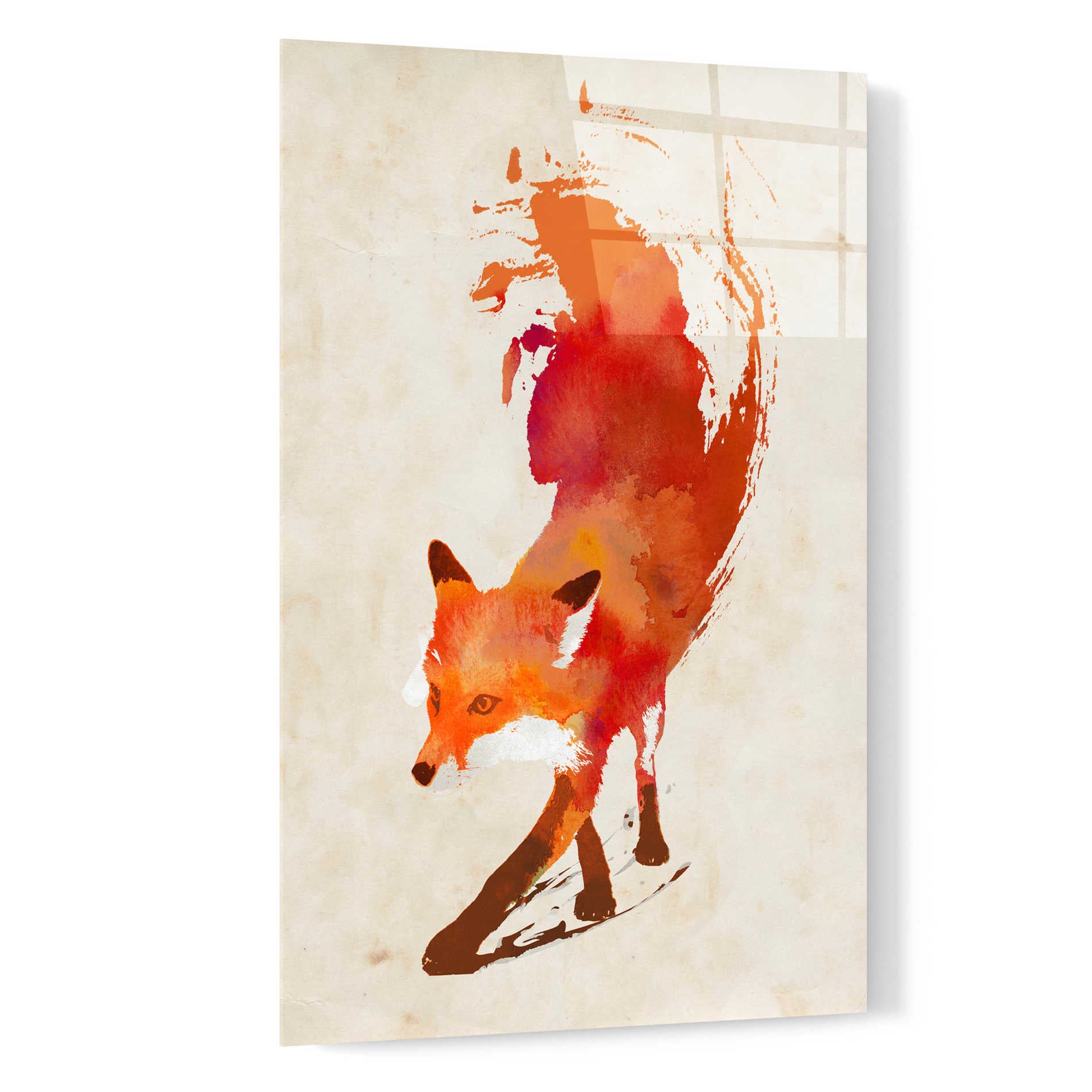 Epic Art 'Vulpes Vulpes' by Robert Farkas, Acrylic Glass Wall Art,16x24