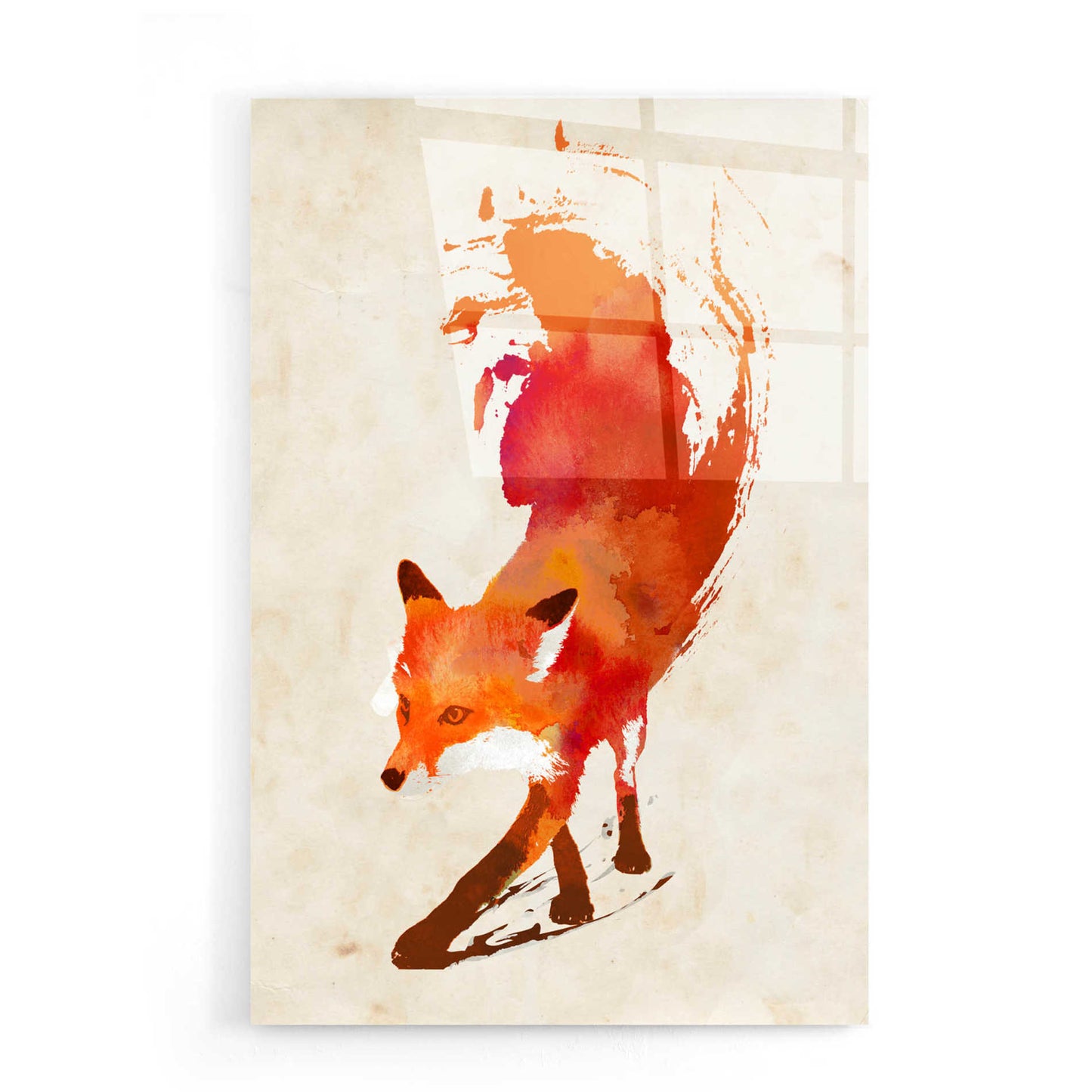 Epic Art 'Vulpes Vulpes' by Robert Farkas, Acrylic Glass Wall Art,16x24