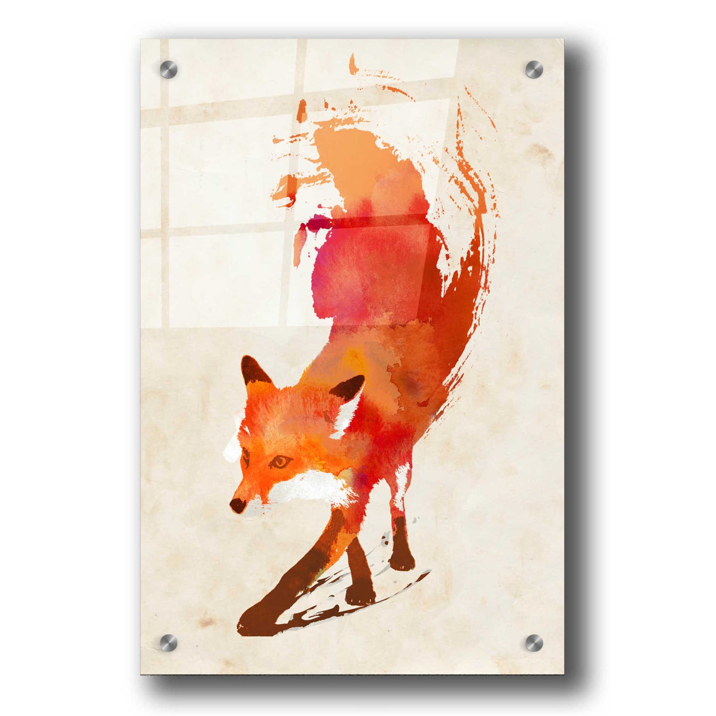 Epic Art 'Vulpes Vulpes' by Robert Farkas, Acrylic Glass Wall Art,24x36