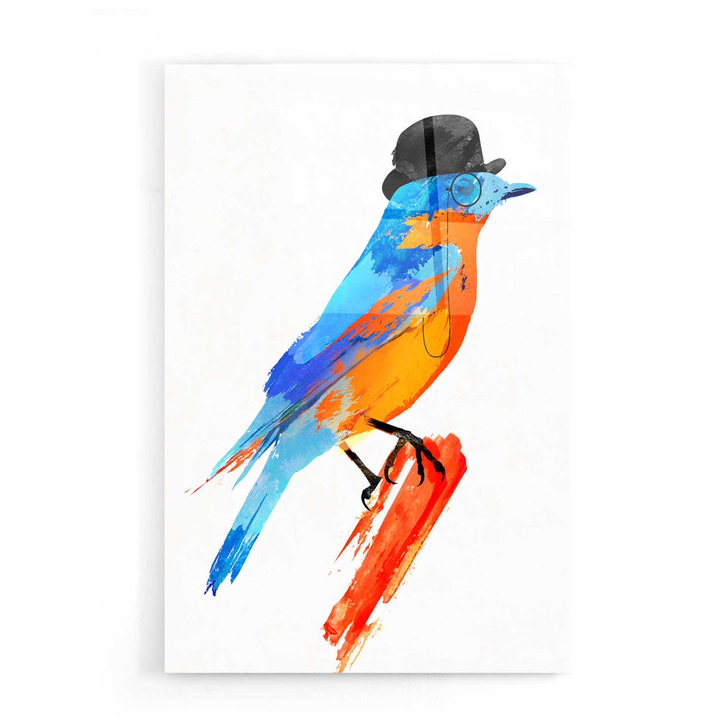 Epic Art 'Lord Bird' by Robert Farkas, Acrylic Glass Wall Art,16x24