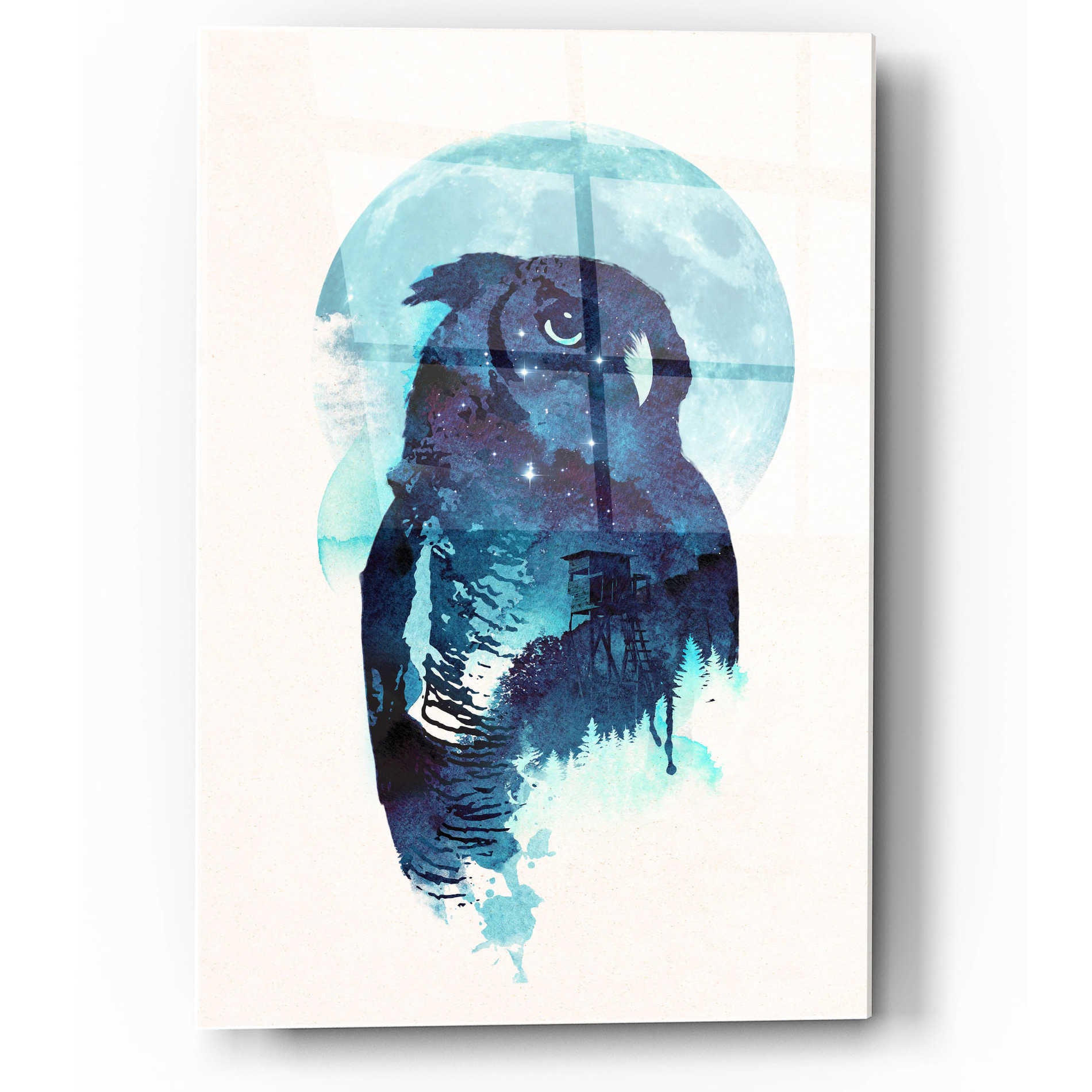 Epic Art 'Midnight Owl' by Robert Farkas, Acrylic Glass Wall Art,12x16