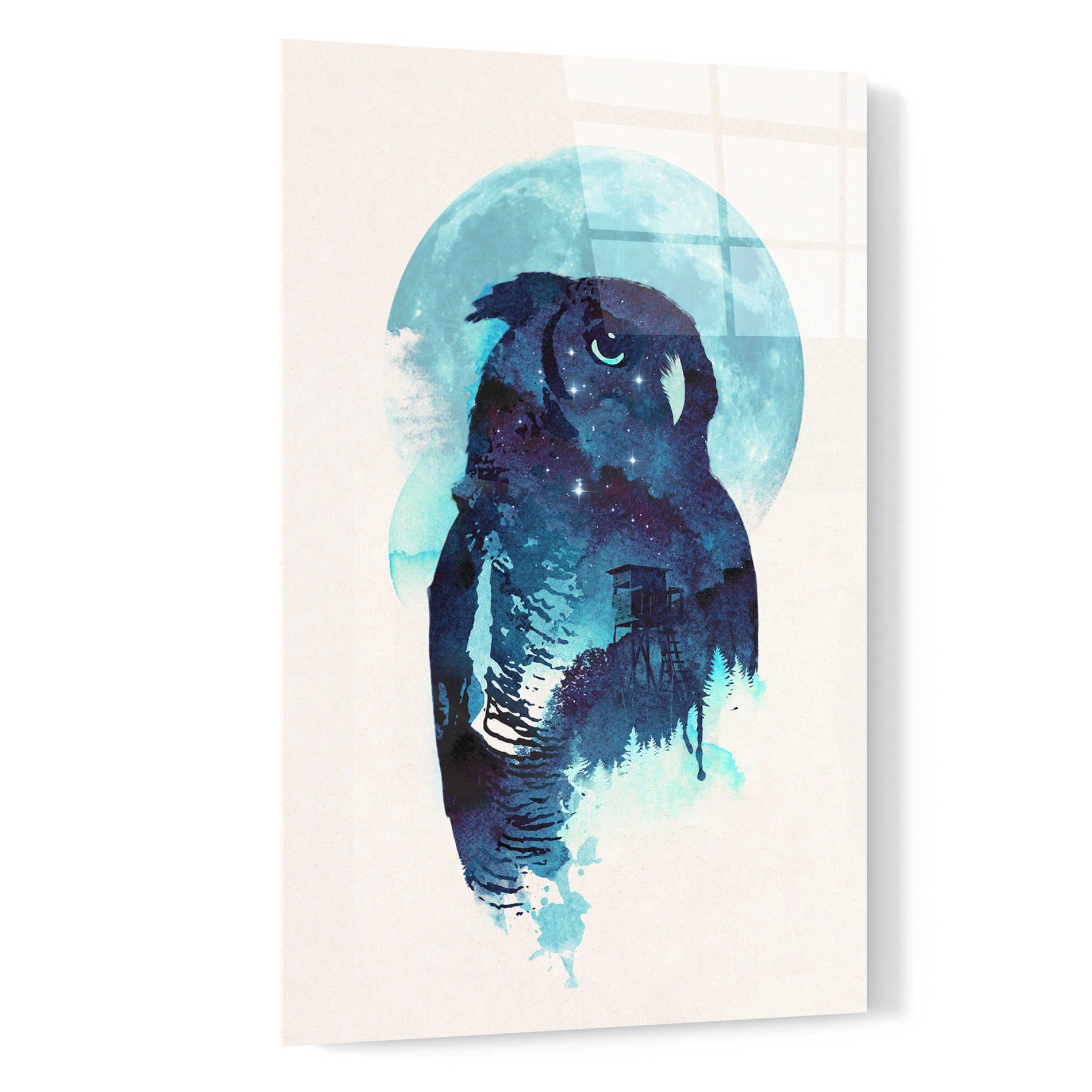 Epic Art 'Midnight Owl' by Robert Farkas, Acrylic Glass Wall Art,16x24