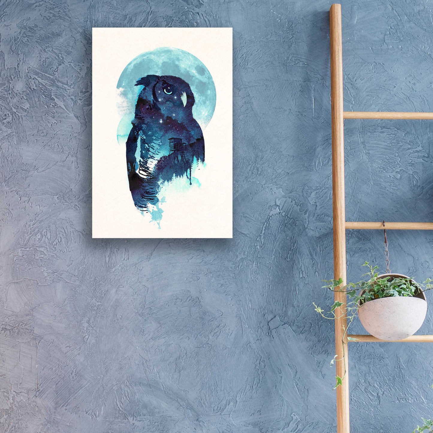 Epic Art 'Midnight Owl' by Robert Farkas, Acrylic Glass Wall Art,16x24