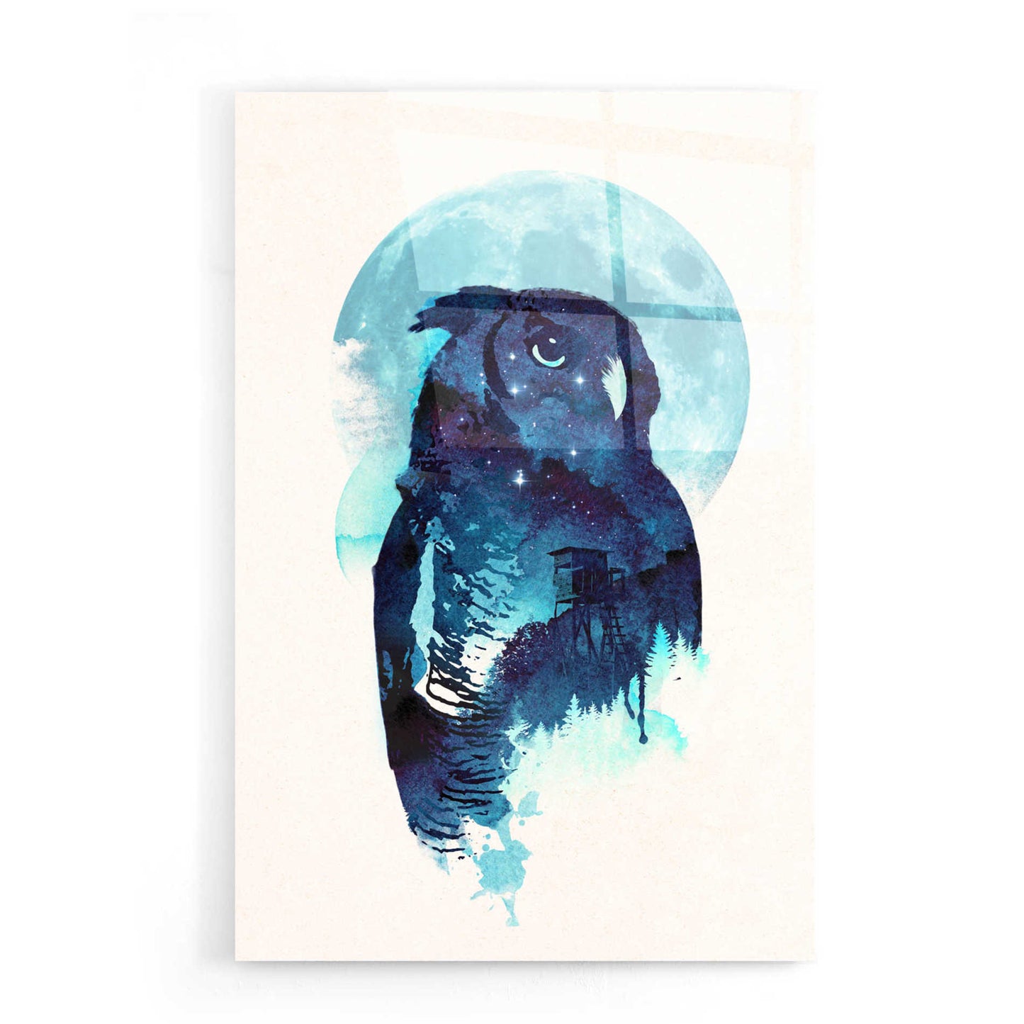 Epic Art 'Midnight Owl' by Robert Farkas, Acrylic Glass Wall Art,16x24