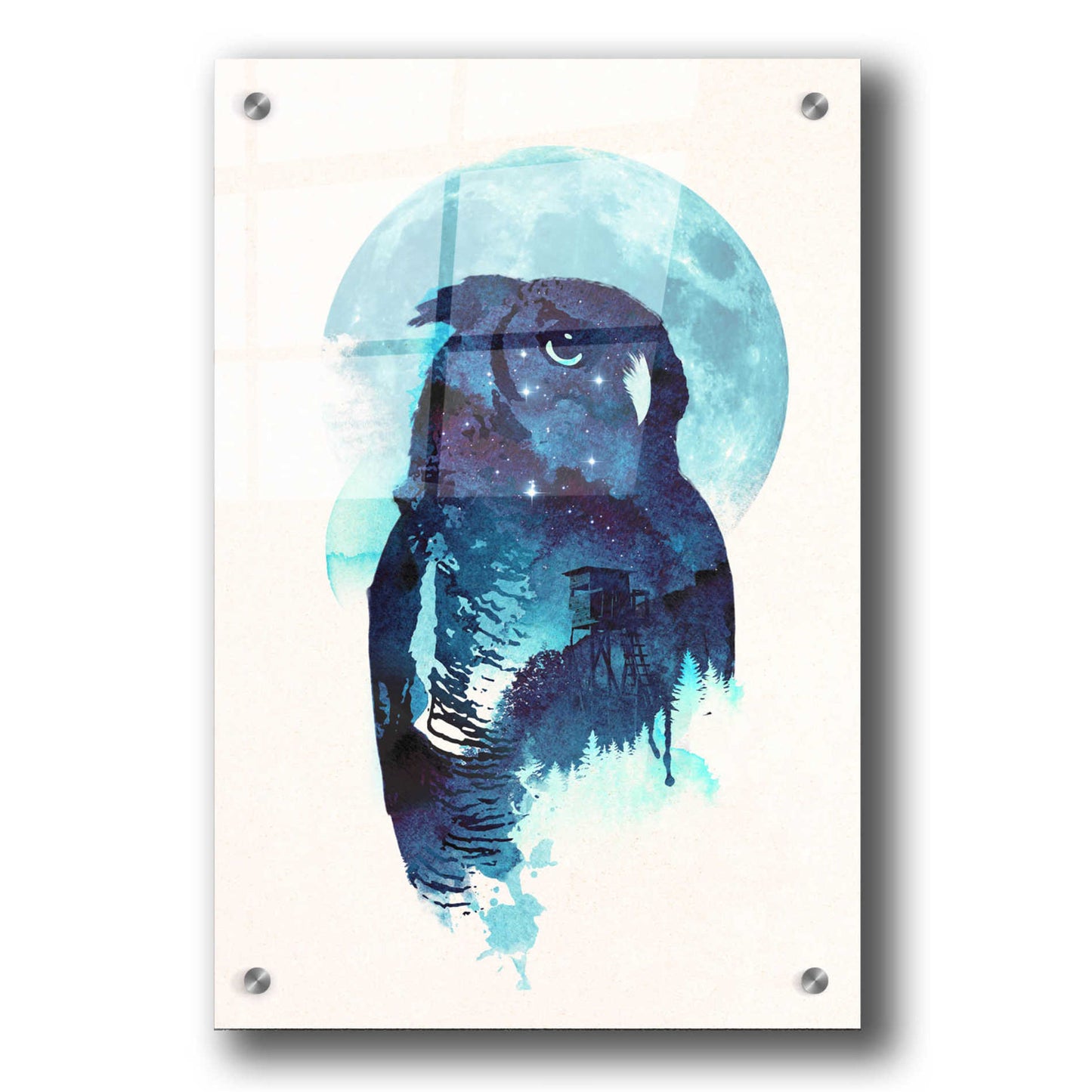 Epic Art 'Midnight Owl' by Robert Farkas, Acrylic Glass Wall Art,24x36