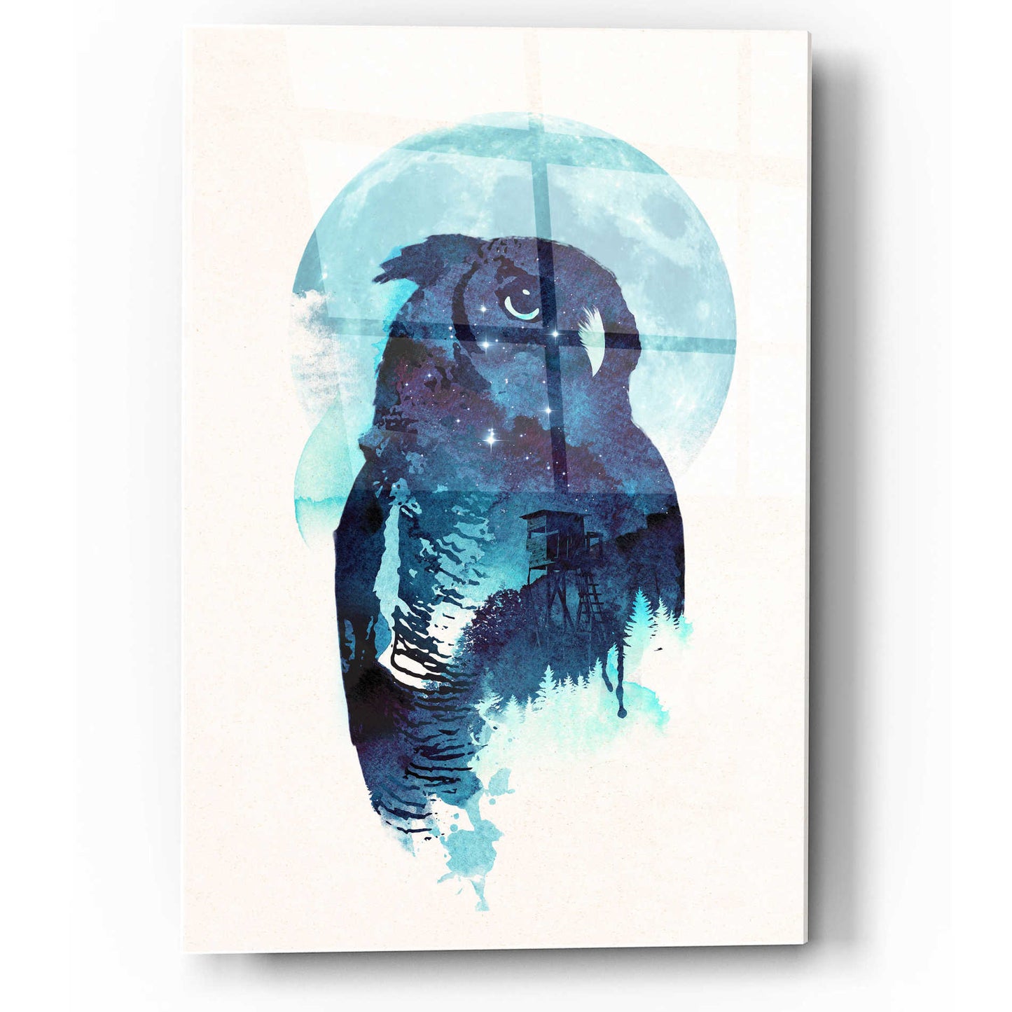 Epic Art 'Midnight Owl' by Robert Farkas, Acrylic Glass Wall Art