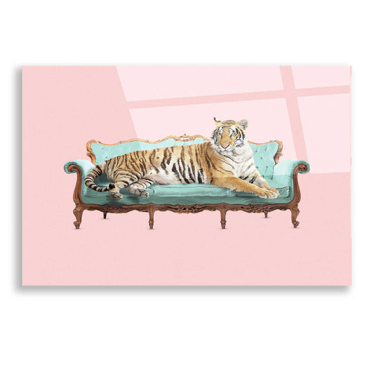 Epic Art 'Lazy Tiger' by Robert Farkas, Acrylic Glass Wall Art