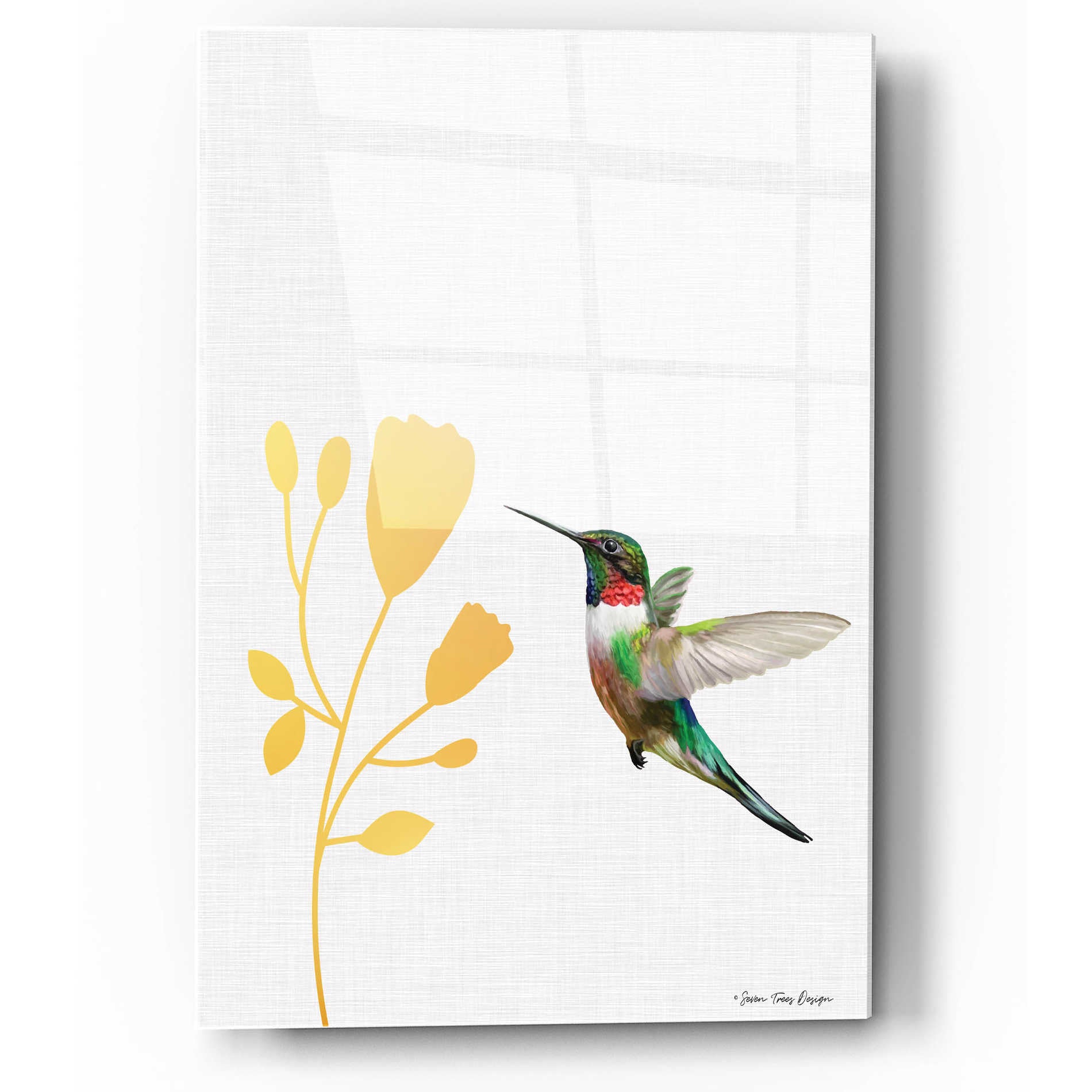 Epic Art 'Hummingbird and the Flower' by Seven Trees Design, Acrylic Glass Wall Art,12x16