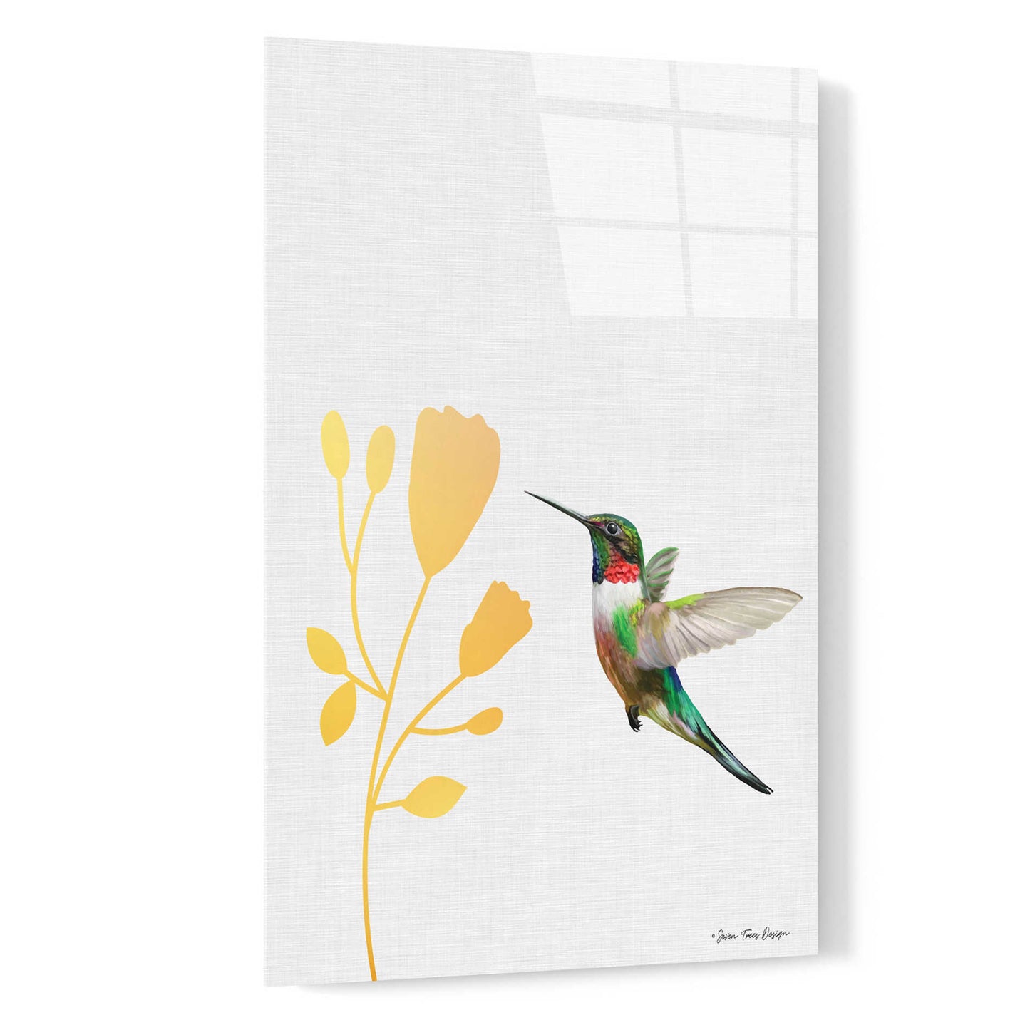 Epic Art 'Hummingbird and the Flower' by Seven Trees Design, Acrylic Glass Wall Art,16x24