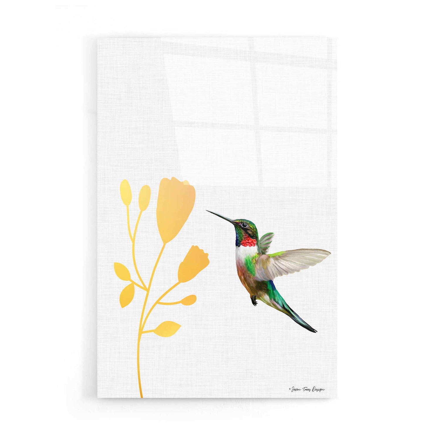 Epic Art 'Hummingbird and the Flower' by Seven Trees Design, Acrylic Glass Wall Art,16x24