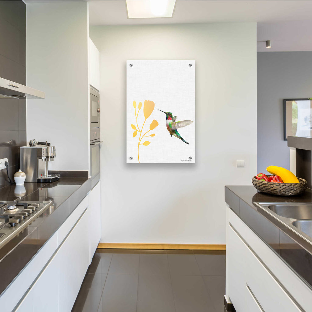 Epic Art 'Hummingbird and the Flower' by Seven Trees Design, Acrylic Glass Wall Art,24x36