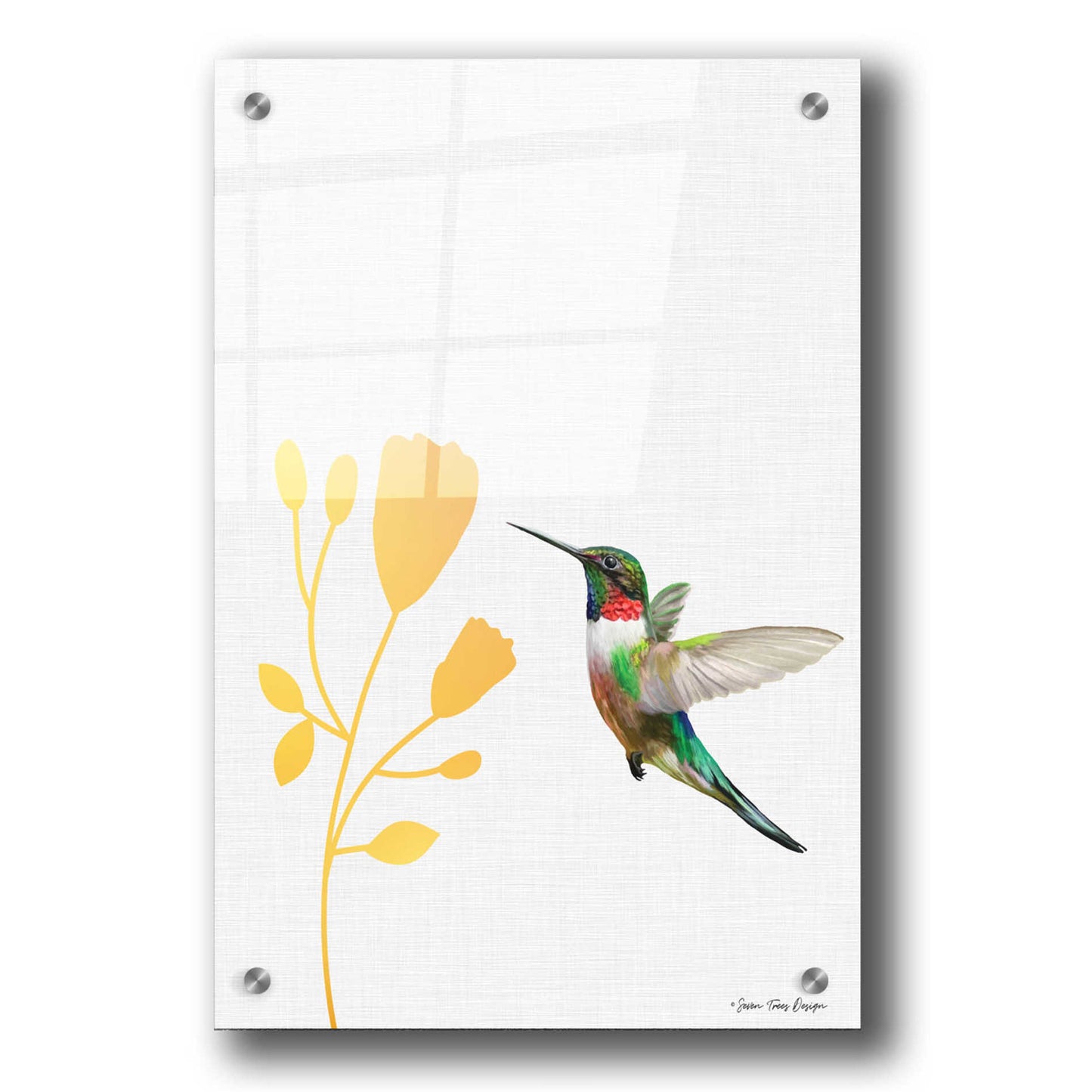 Epic Art 'Hummingbird and the Flower' by Seven Trees Design, Acrylic Glass Wall Art,24x36