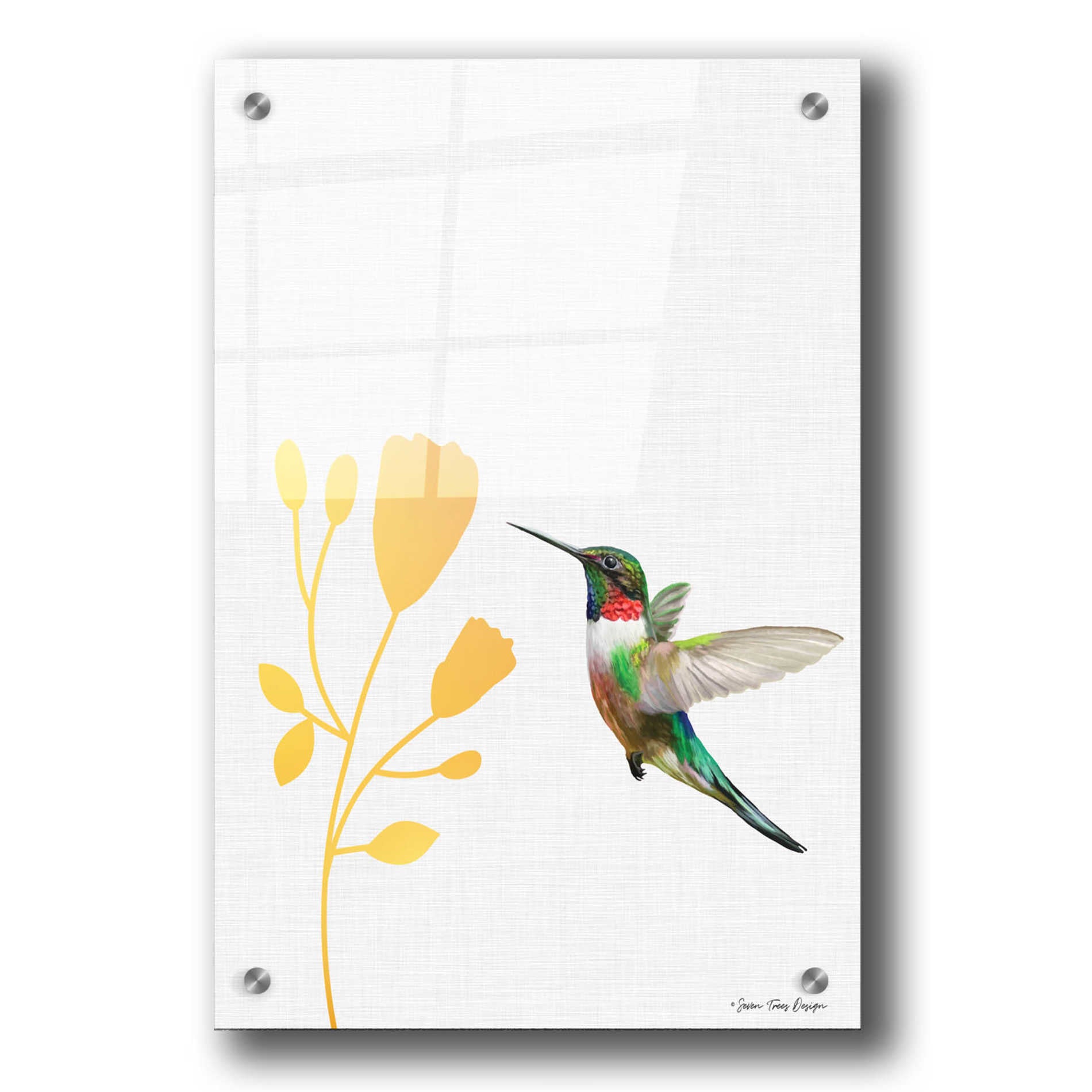 Epic Art 'Hummingbird and the Flower' by Seven Trees Design, Acrylic Glass Wall Art,24x36