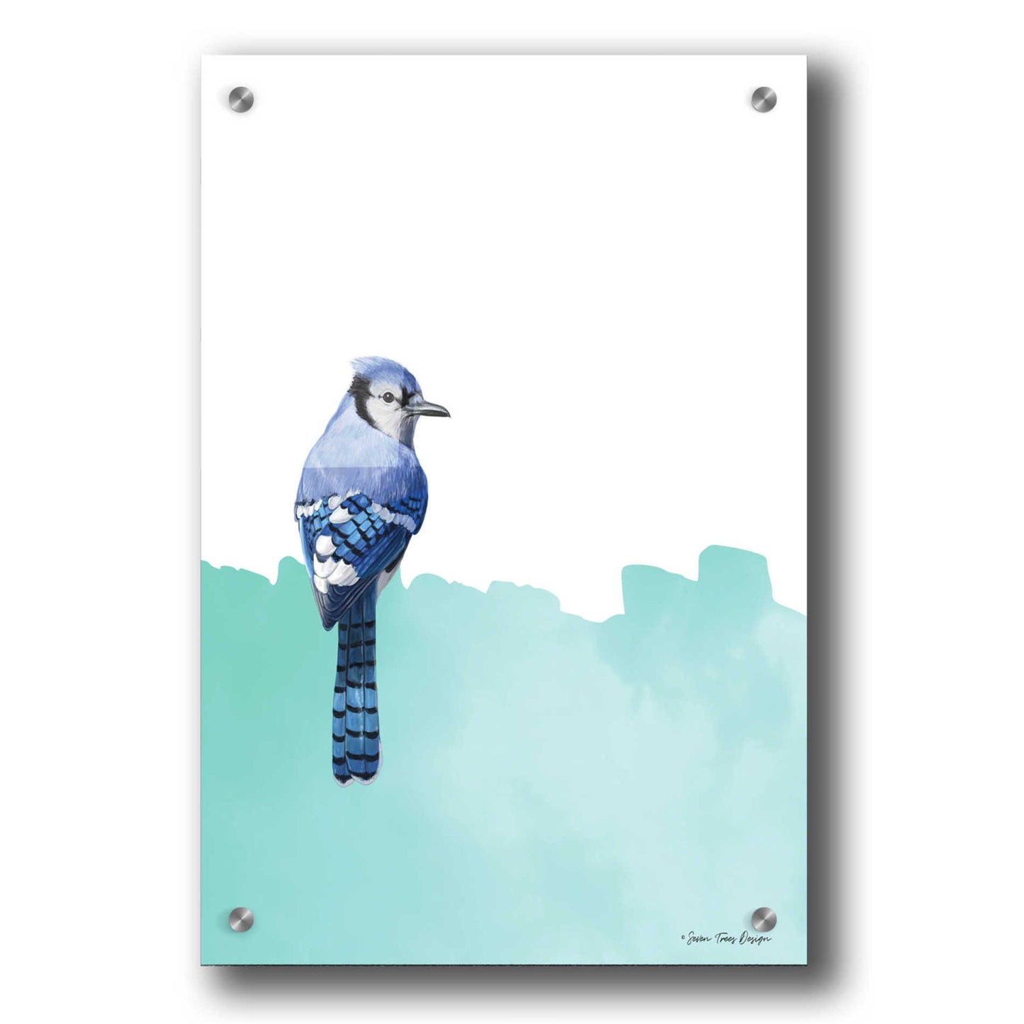 Epic Art 'Bird on Blue' by Seven Trees Design, Acrylic Glass Wall Art,24x36