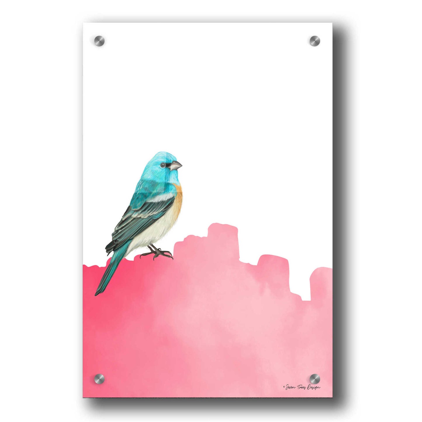 Epic Art 'Bird on Pink' by Seven Trees Design, Acrylic Glass Wall Art,24x36