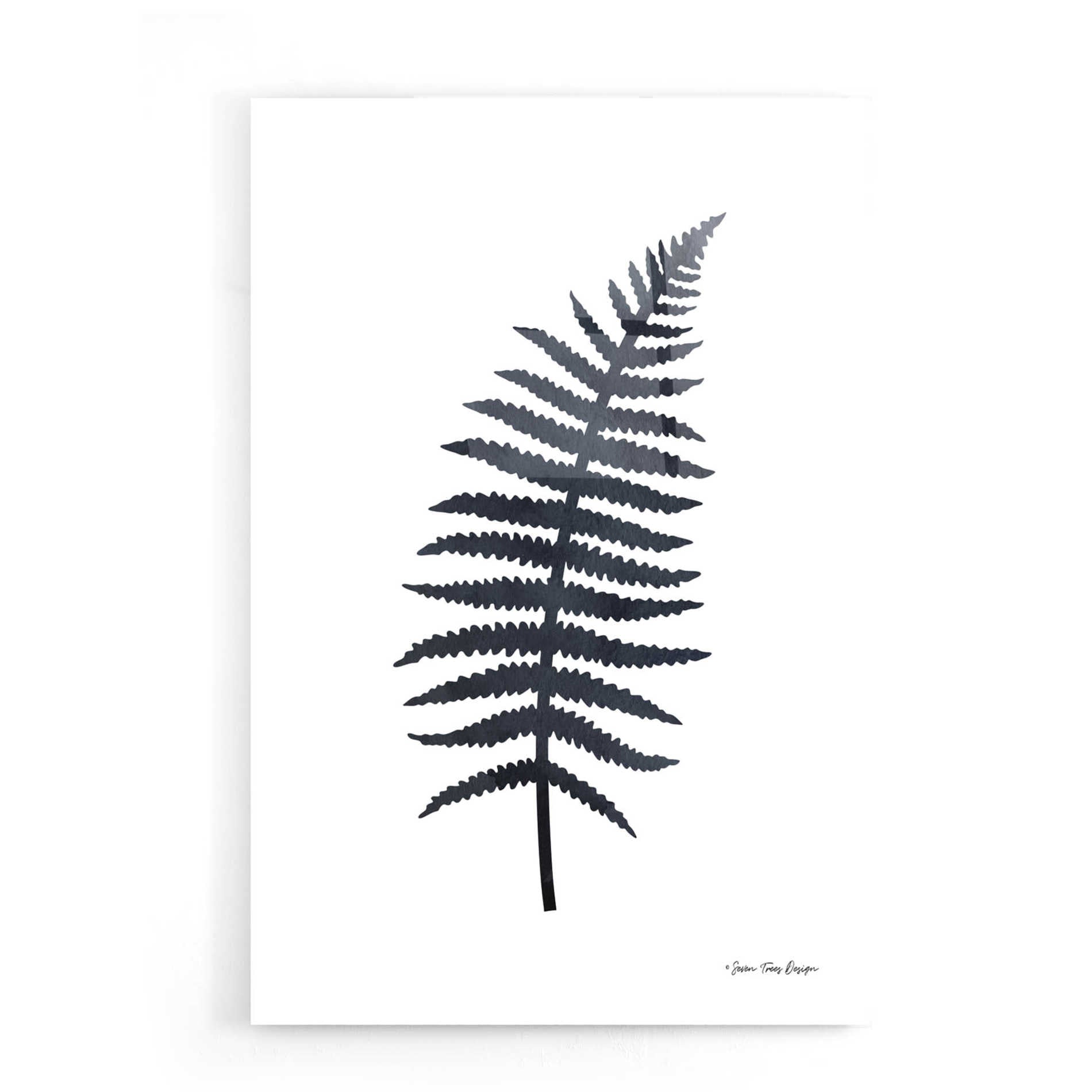 Epic Art 'Watercolor Black Plant I' by Seven Trees Design, Acrylic Glass Wall Art,16x24