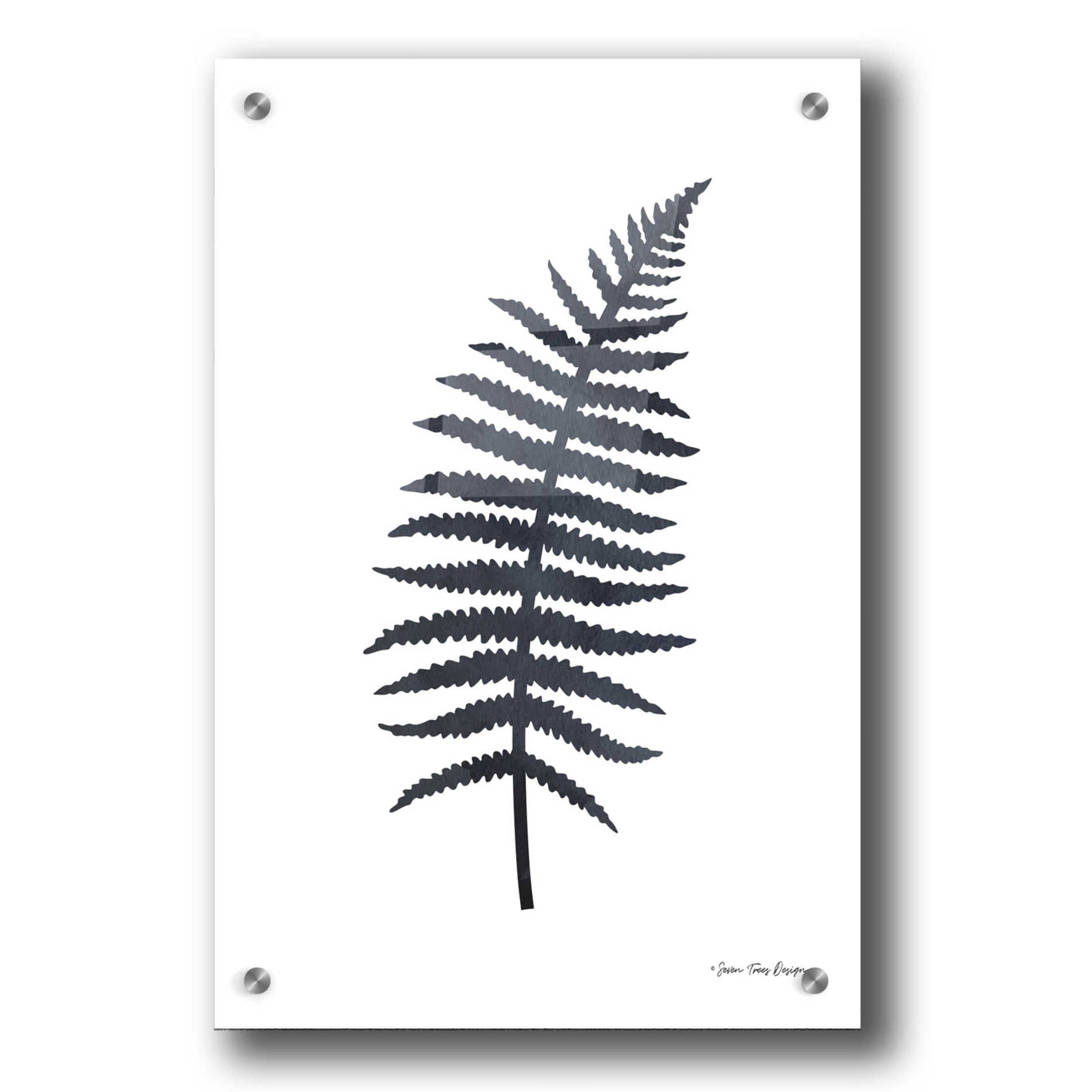 Epic Art 'Watercolor Black Plant I' by Seven Trees Design, Acrylic Glass Wall Art,24x36