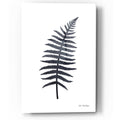 Epic Art 'Watercolor Black Plant I' by Seven Trees Design, Acrylic Glass Wall Art