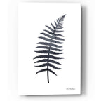 Epic Art 'Watercolor Black Plant I' by Seven Trees Design, Acrylic Glass Wall Art