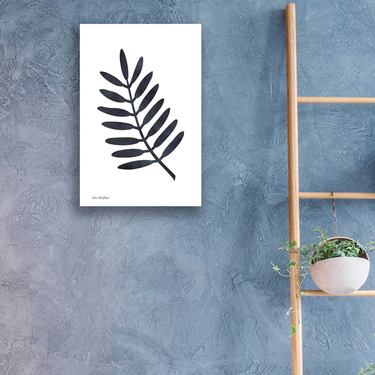 Epic Art 'Watercolor Black Plant II' by Seven Trees Design, Acrylic Glass Wall Art,16x24