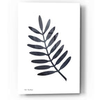 Epic Art 'Watercolor Black Plant II' by Seven Trees Design, Acrylic Glass Wall Art