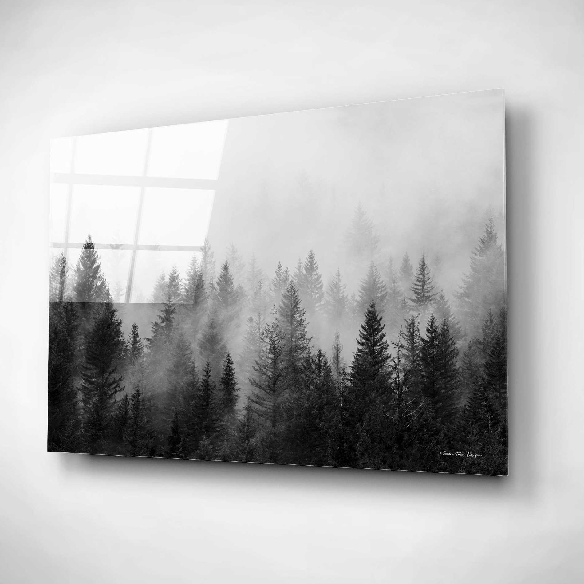 Epic Art 'Forest' by Seven Trees Design, Acrylic Glass Wall Art,16x12