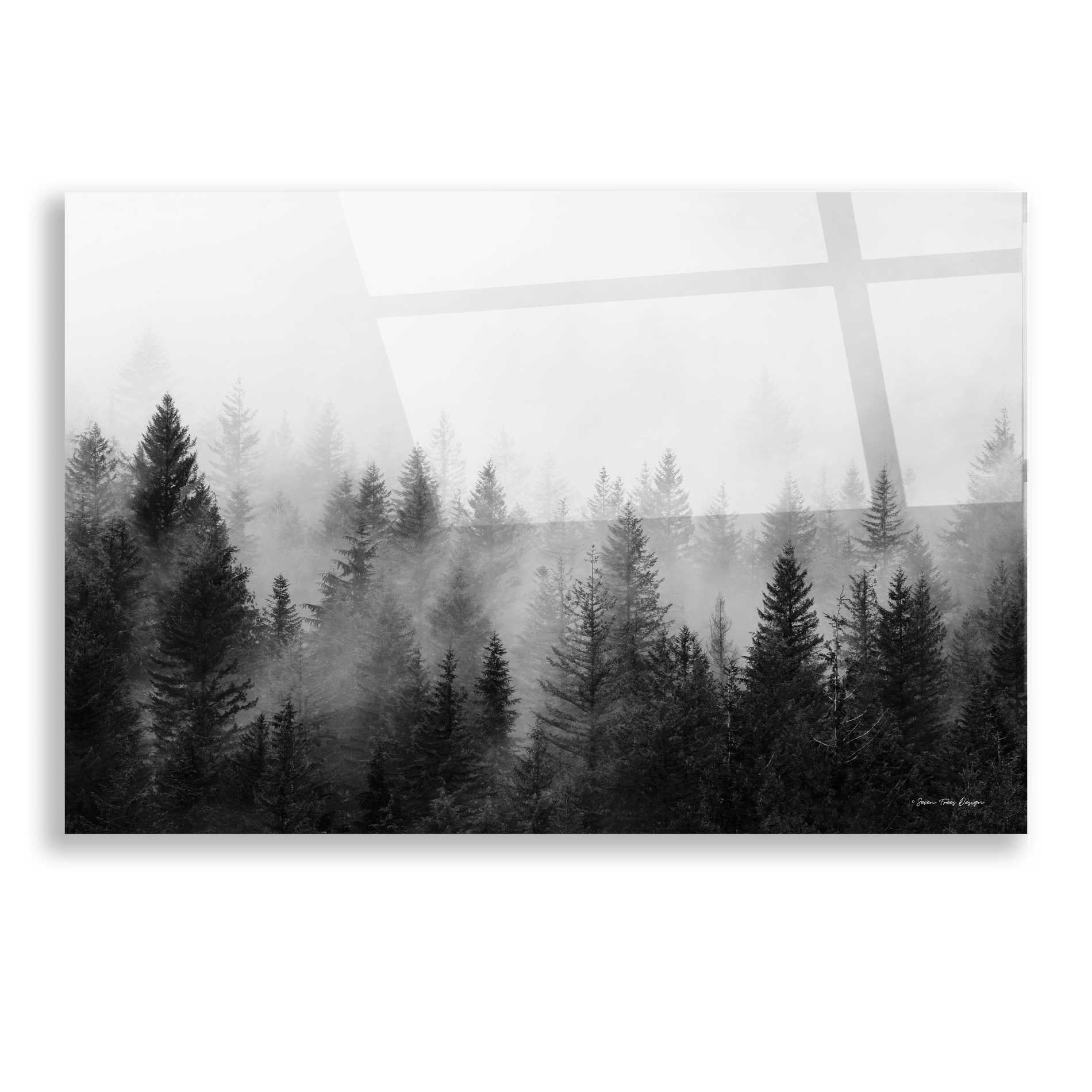 Epic Art 'Forest' by Seven Trees Design, Acrylic Glass Wall Art,16x12