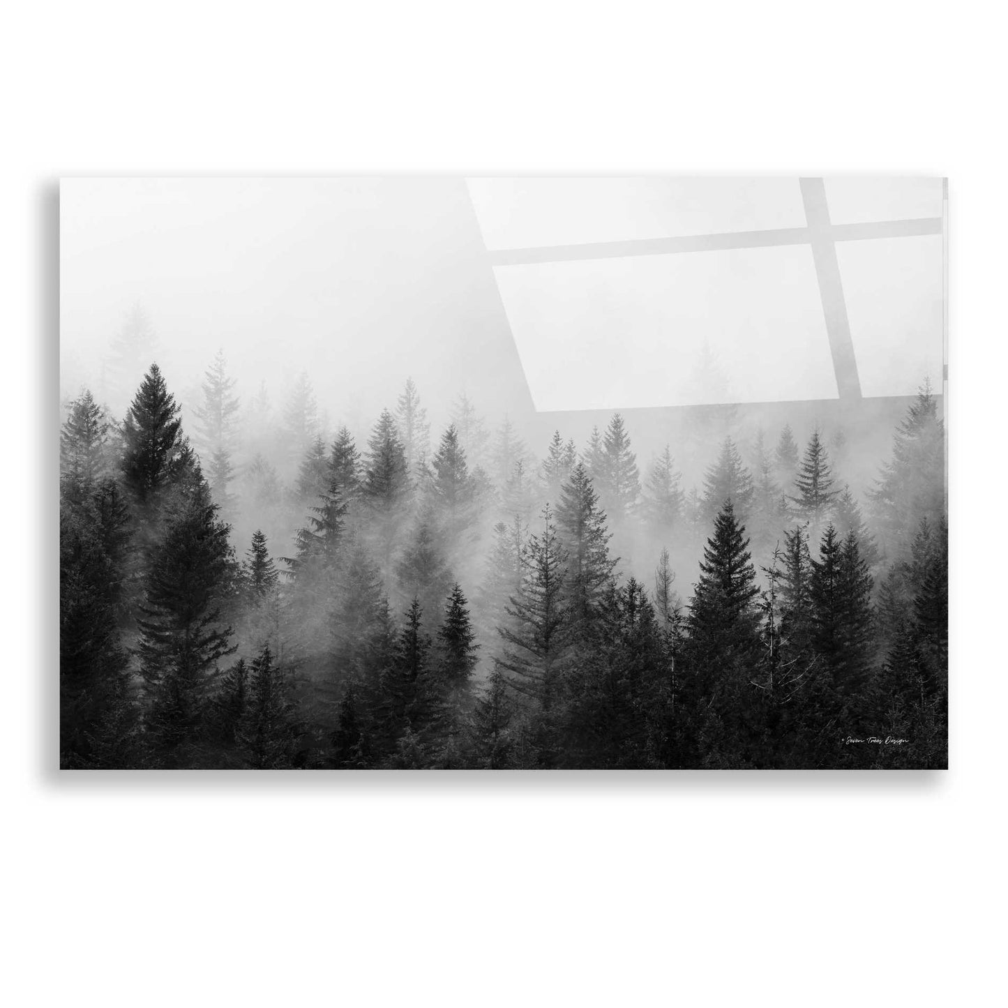 Epic Art 'Forest' by Seven Trees Design, Acrylic Glass Wall Art,24x16