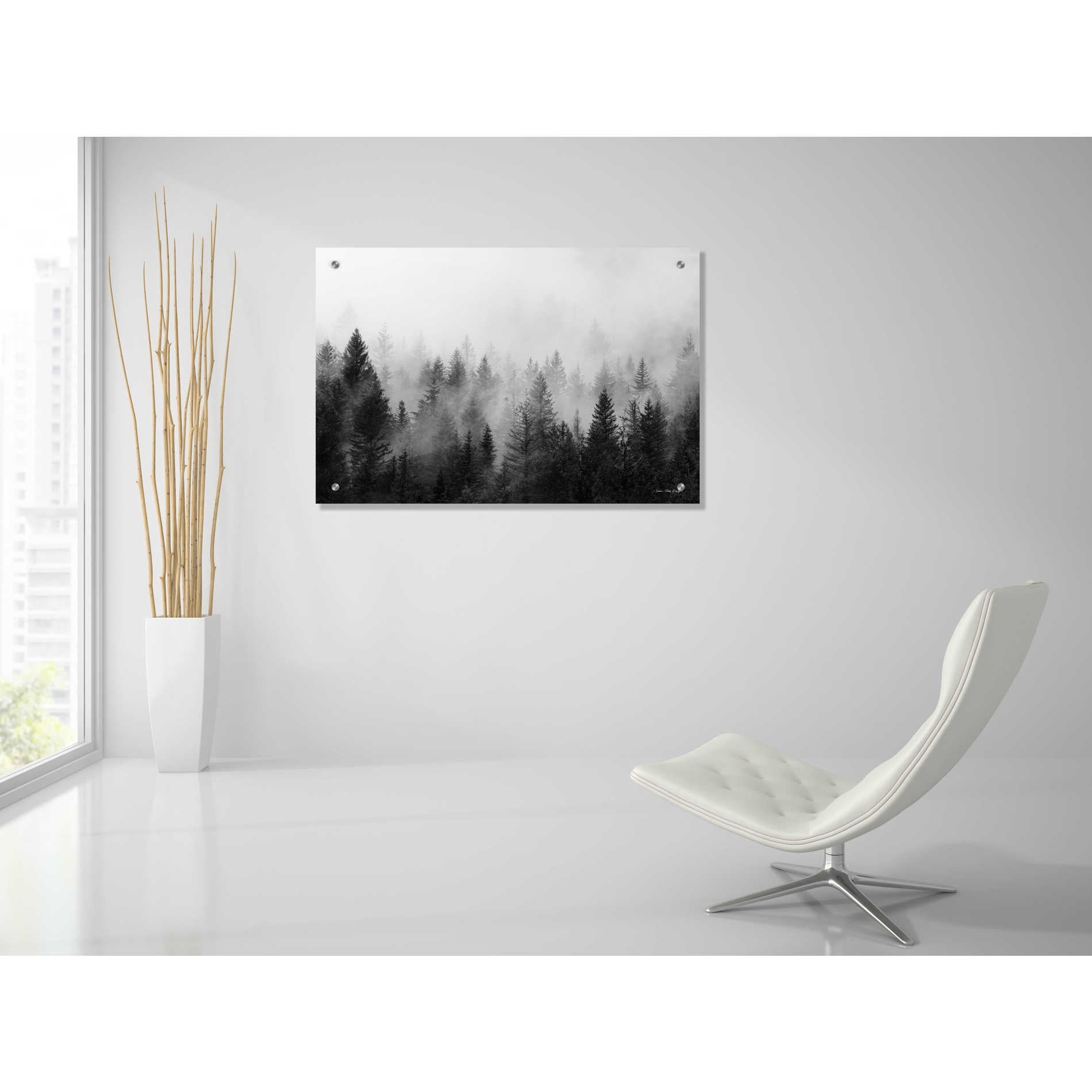 Epic Art 'Forest' by Seven Trees Design, Acrylic Glass Wall Art,36x24