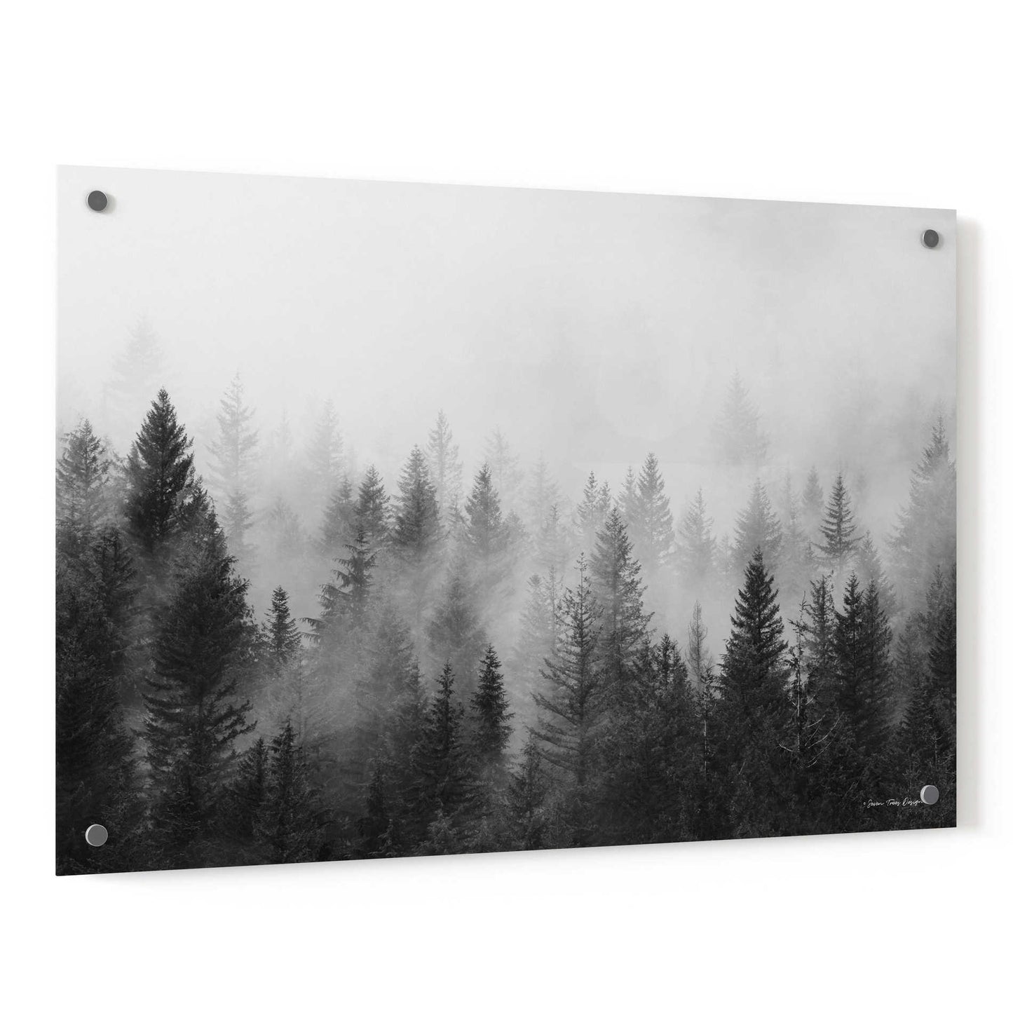 Epic Art 'Forest' by Seven Trees Design, Acrylic Glass Wall Art,36x24