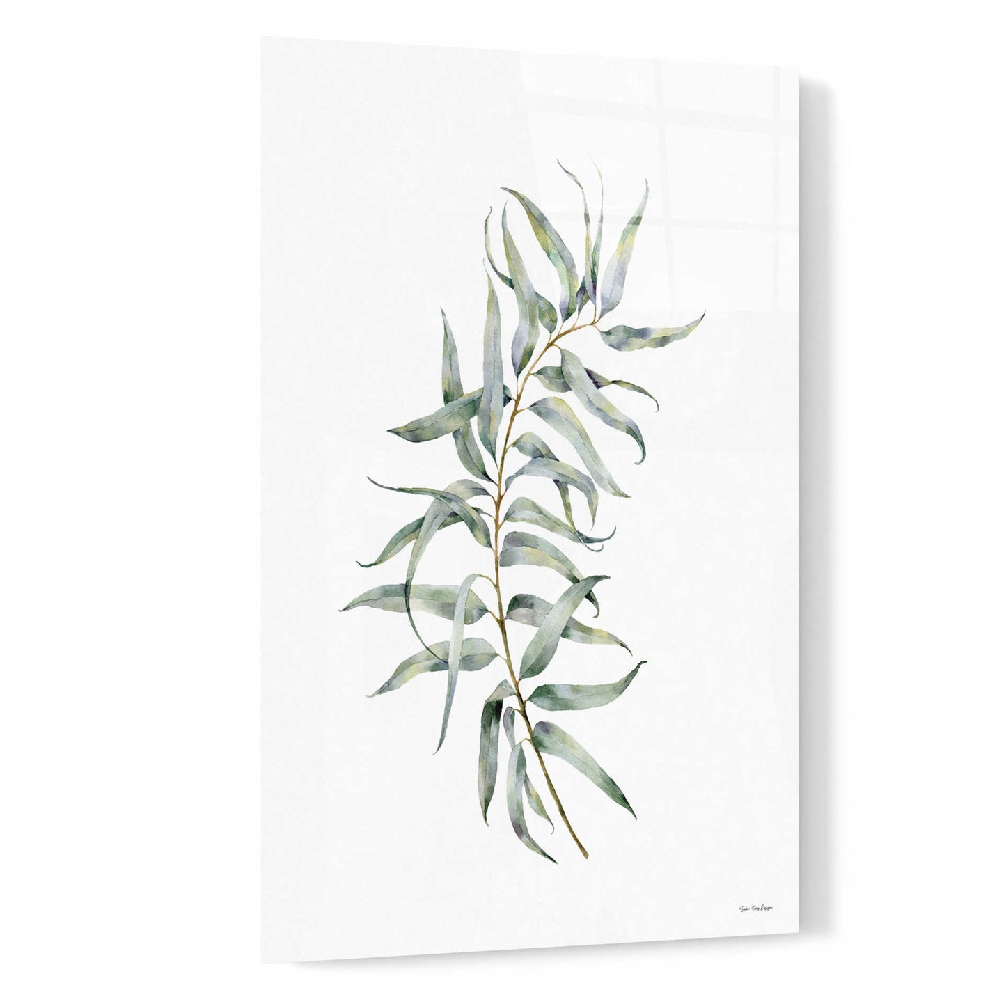 Epic Art 'Eucalyptus I' by Seven Trees Design, Acrylic Glass Wall Art,16x24