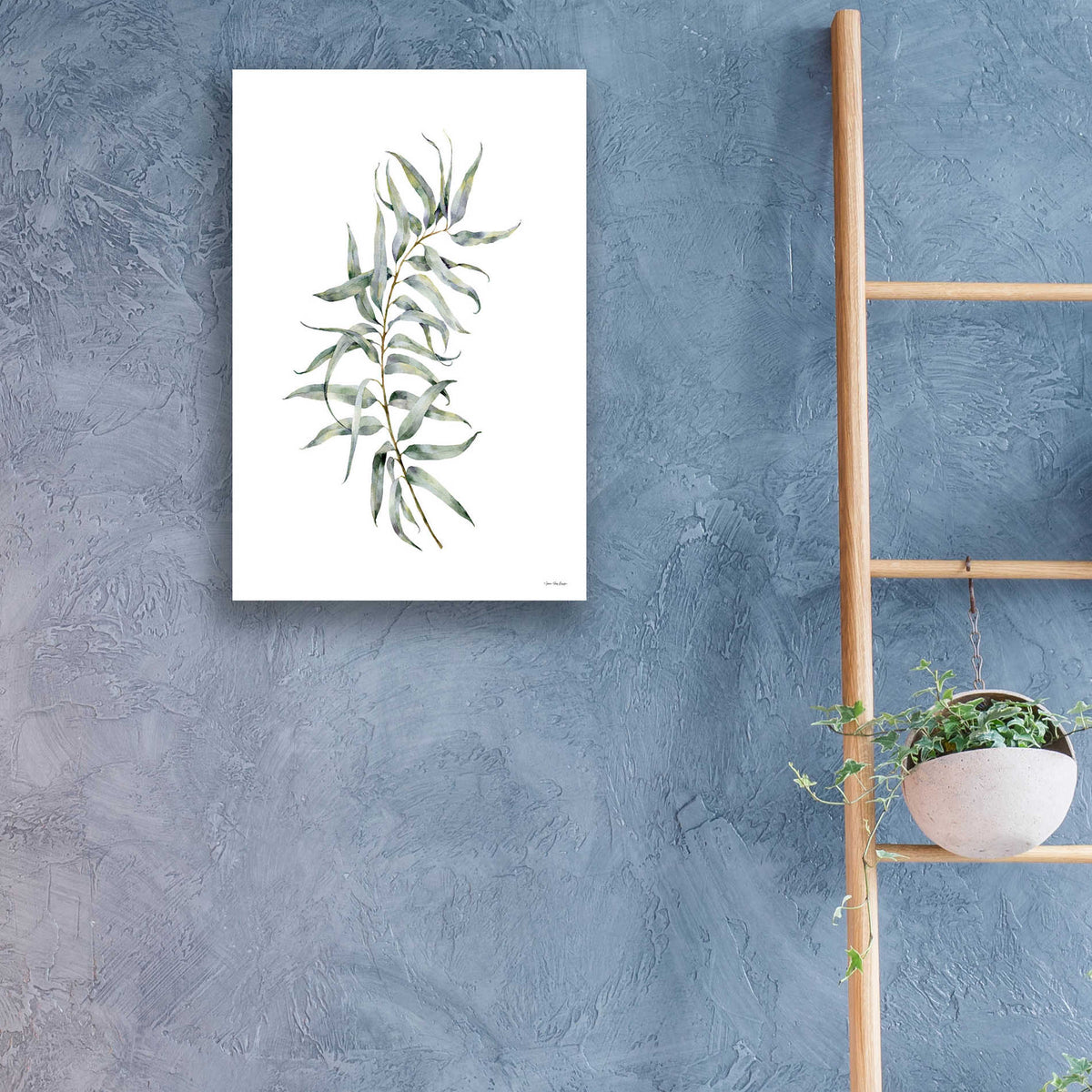 Epic Art 'Eucalyptus I' by Seven Trees Design, Acrylic Glass Wall Art,16x24
