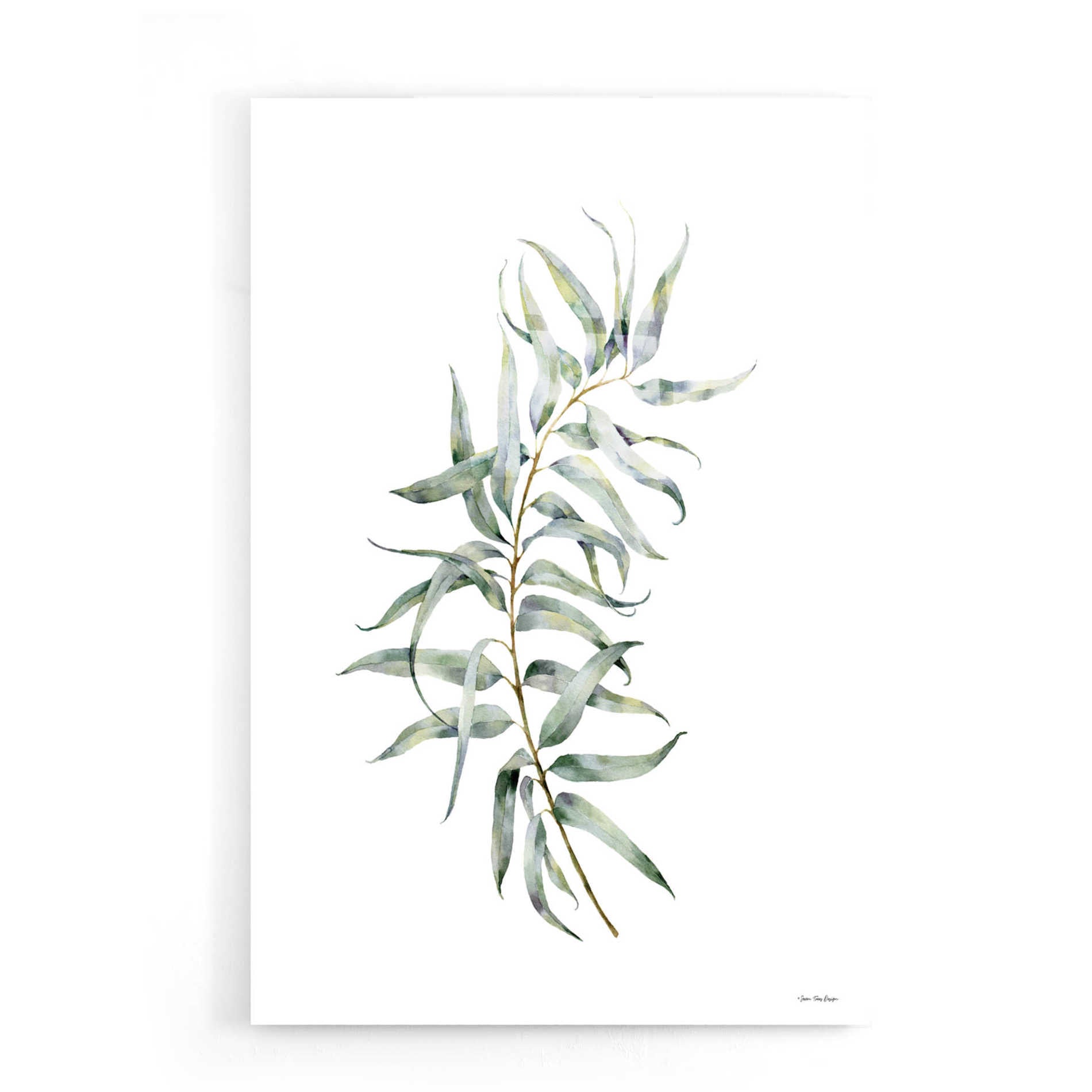 Epic Art 'Eucalyptus I' by Seven Trees Design, Acrylic Glass Wall Art,16x24